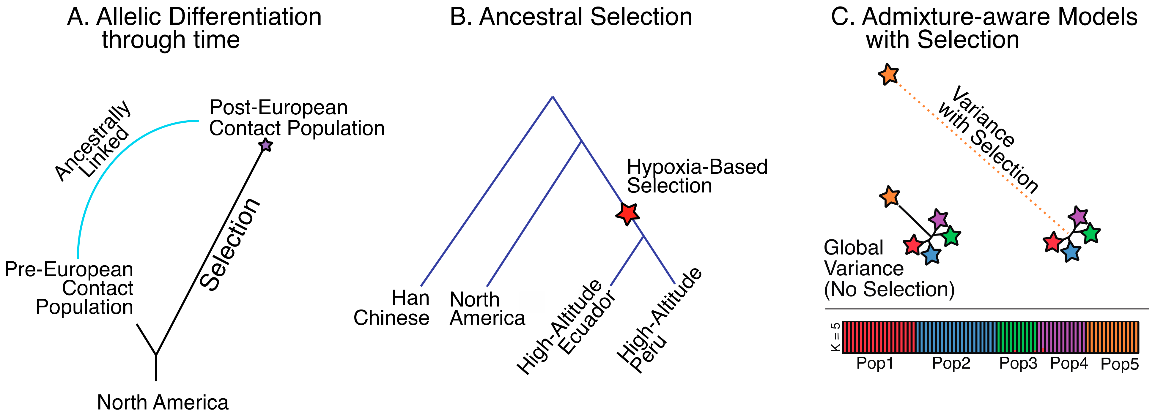 Genes 12 00360 g004