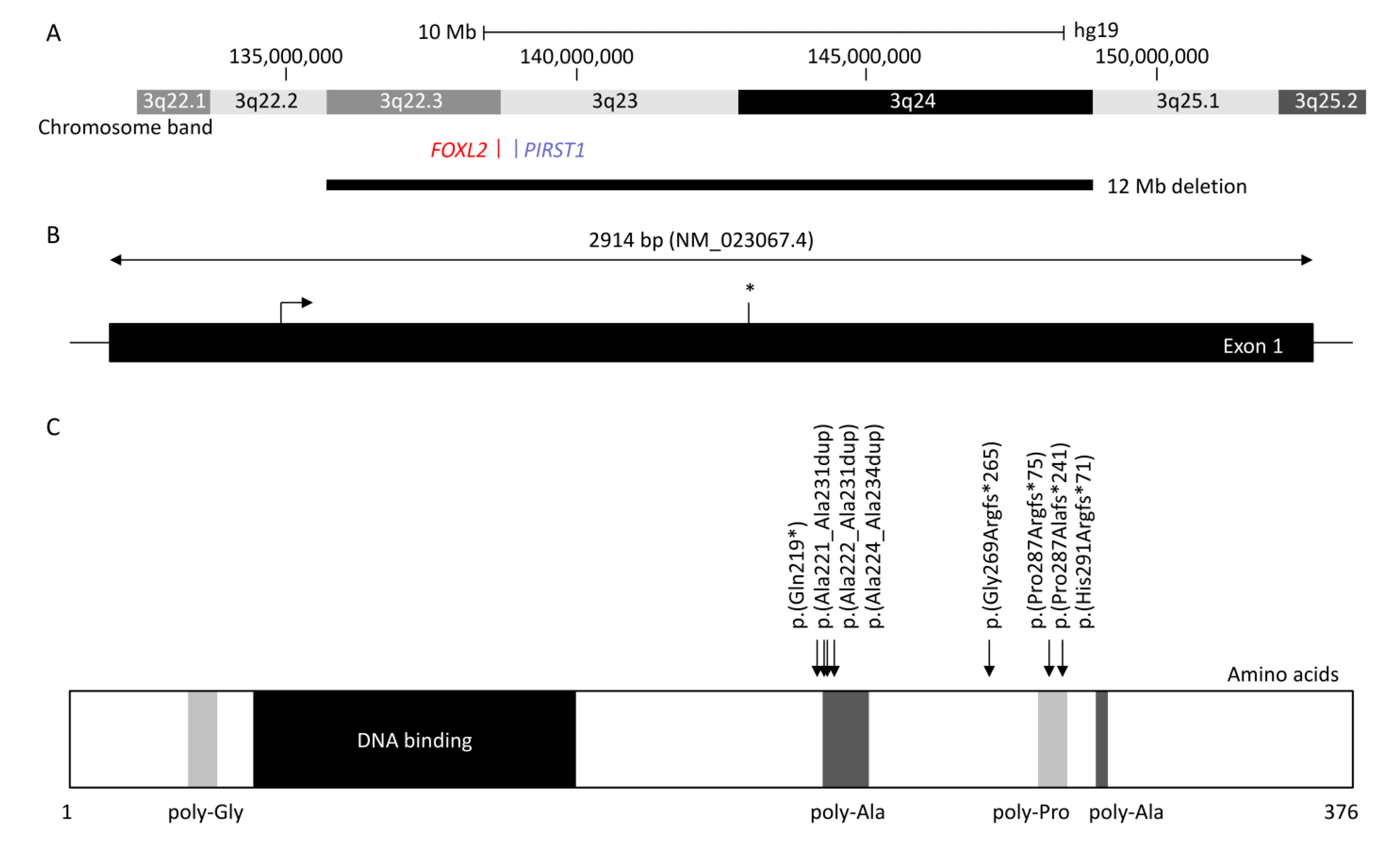 Genes 12 00364 g001 Genes 12 00364 g001