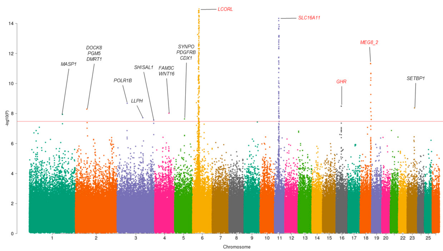 Genes 12 00367 g001 Genes 12 00367 g001