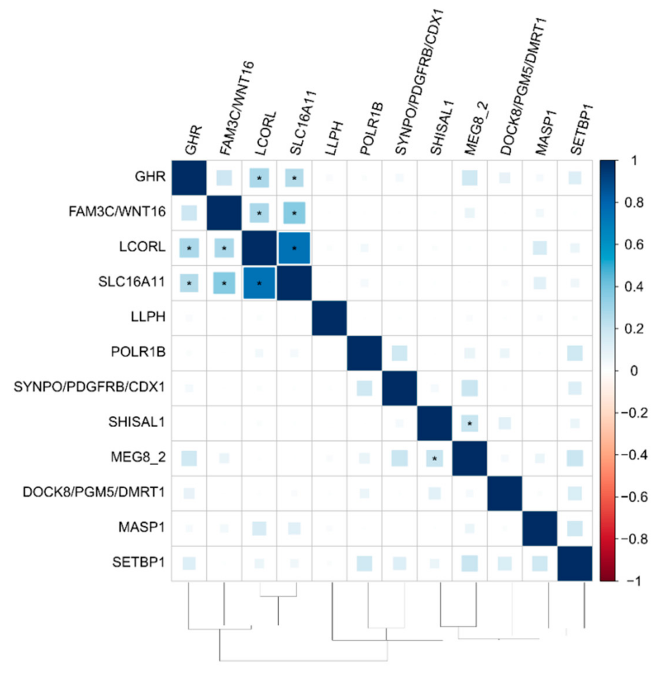 Genes 12 00367 g002 Genes 12 00367 g002
