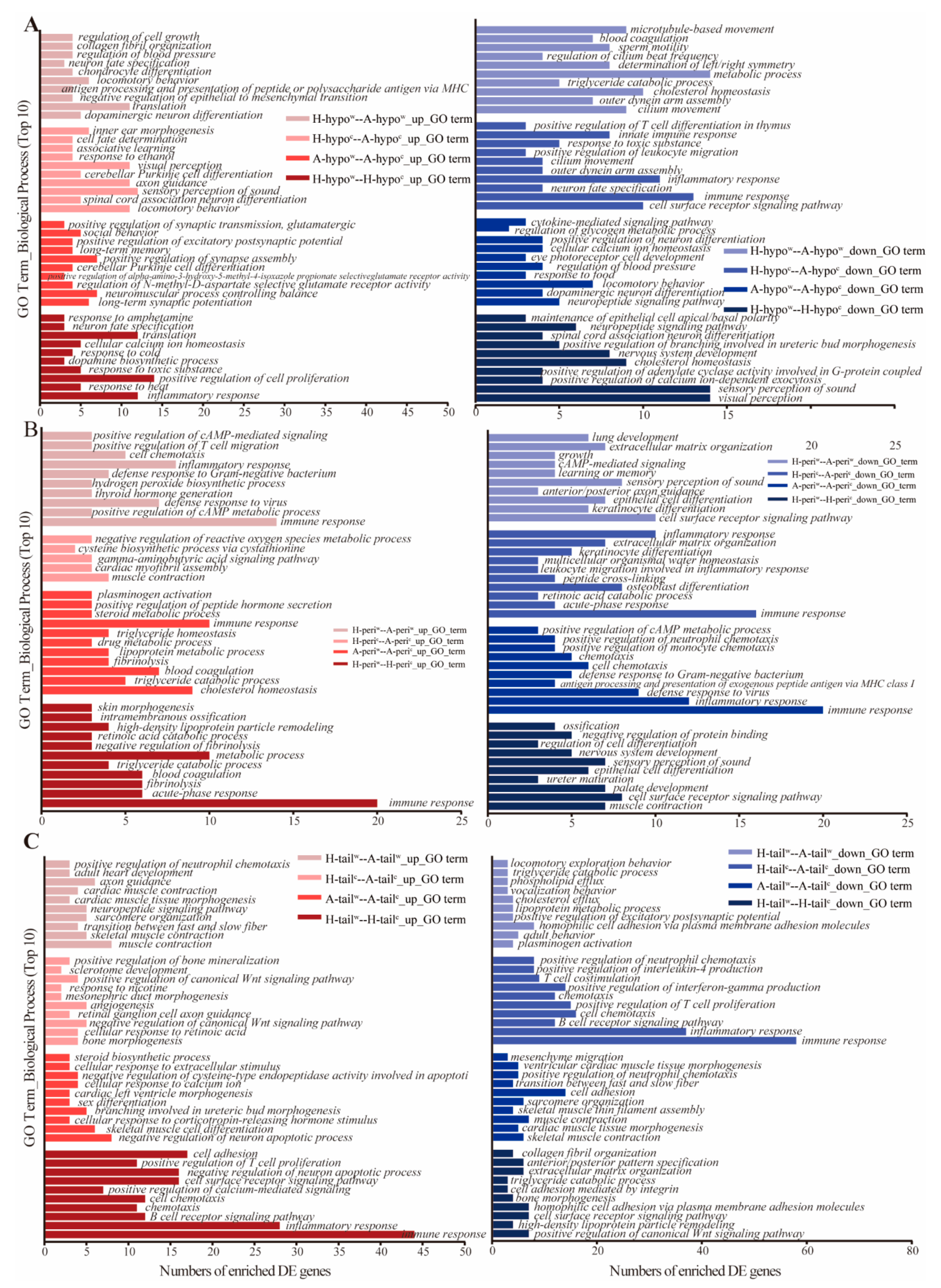 Genes 12 00375 g005 Genes 12 00375 g005