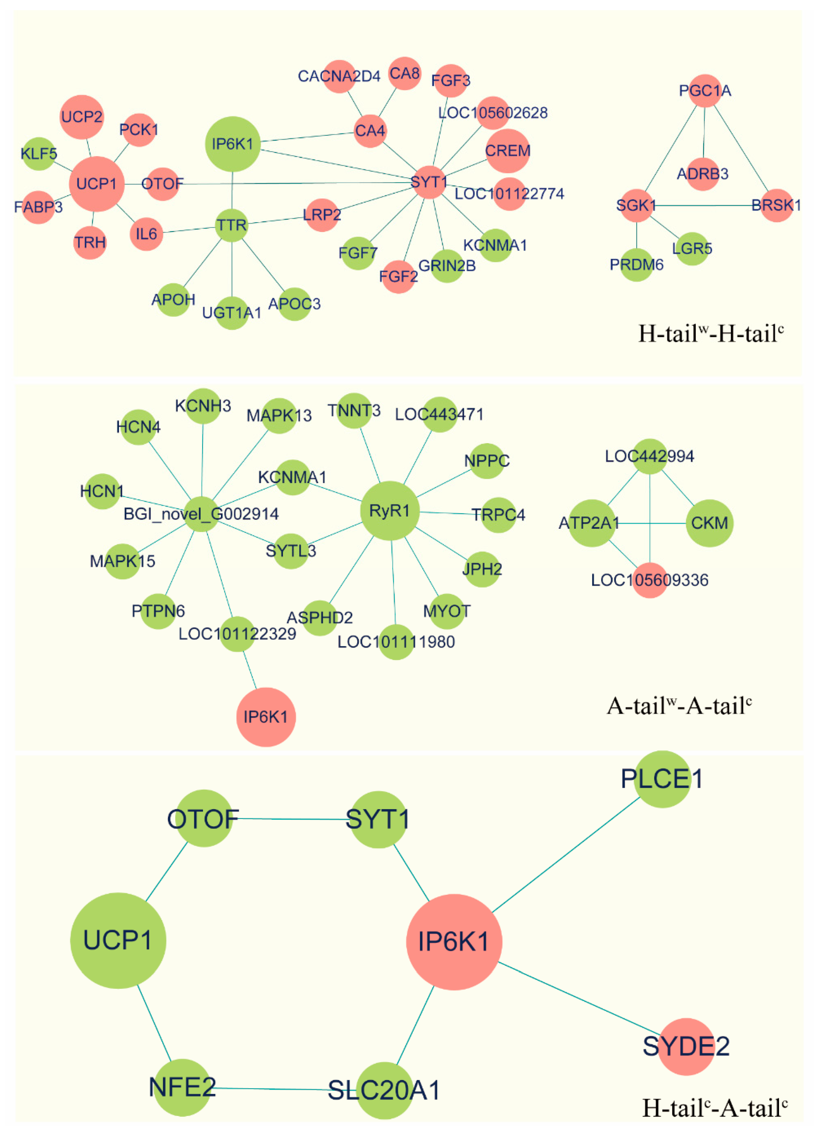 Genes 12 00375 g006 Genes 12 00375 g006