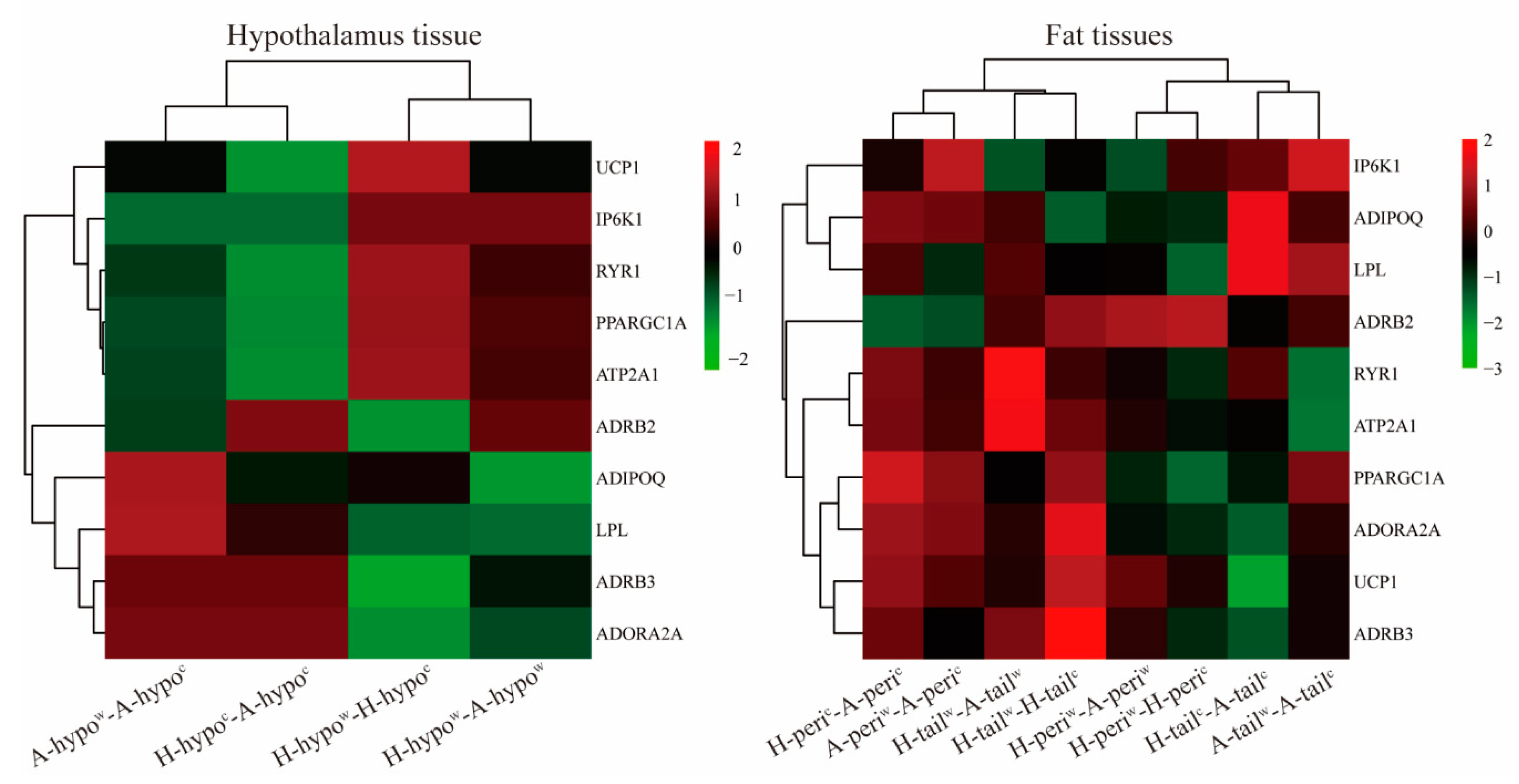 Genes 12 00375 g007 Genes 12 00375 g007