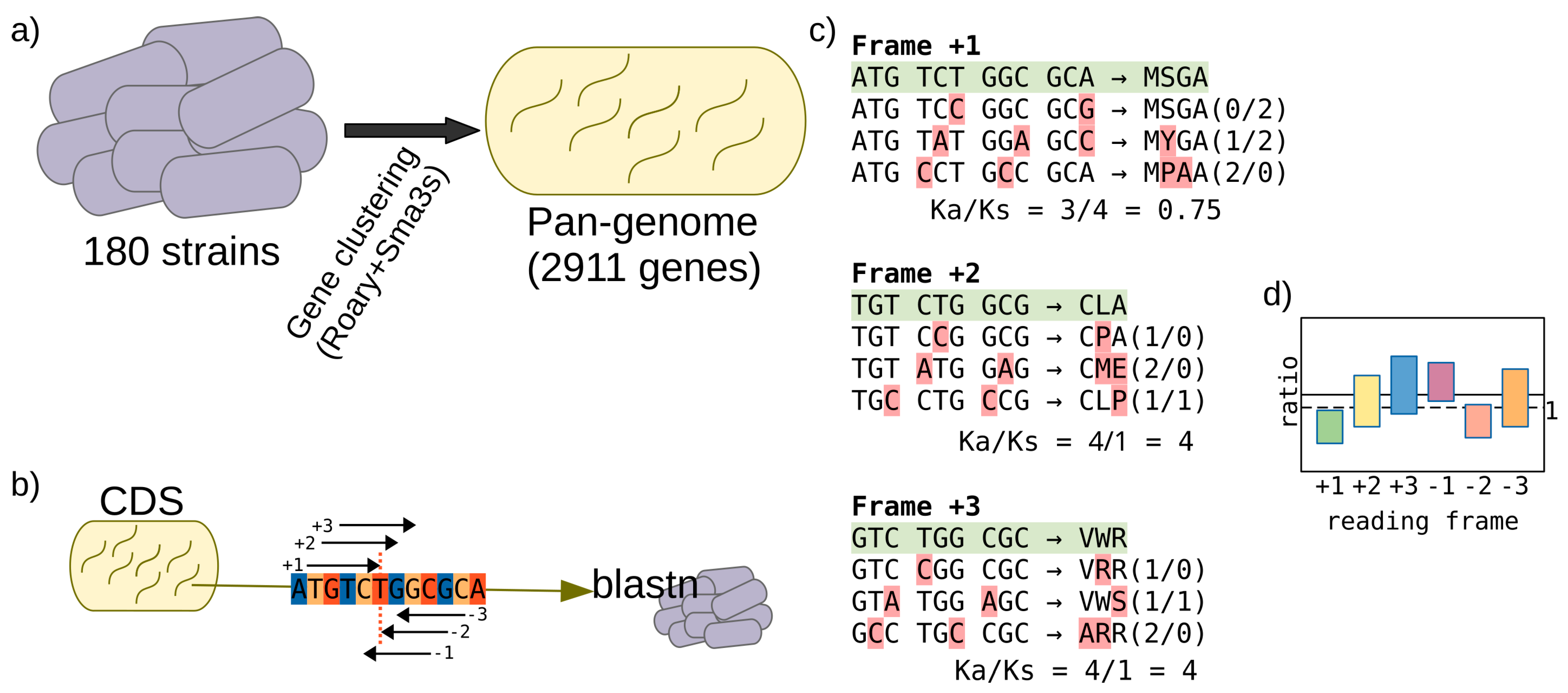 Genes 12 00377 g002 Genes 12 00377 g002