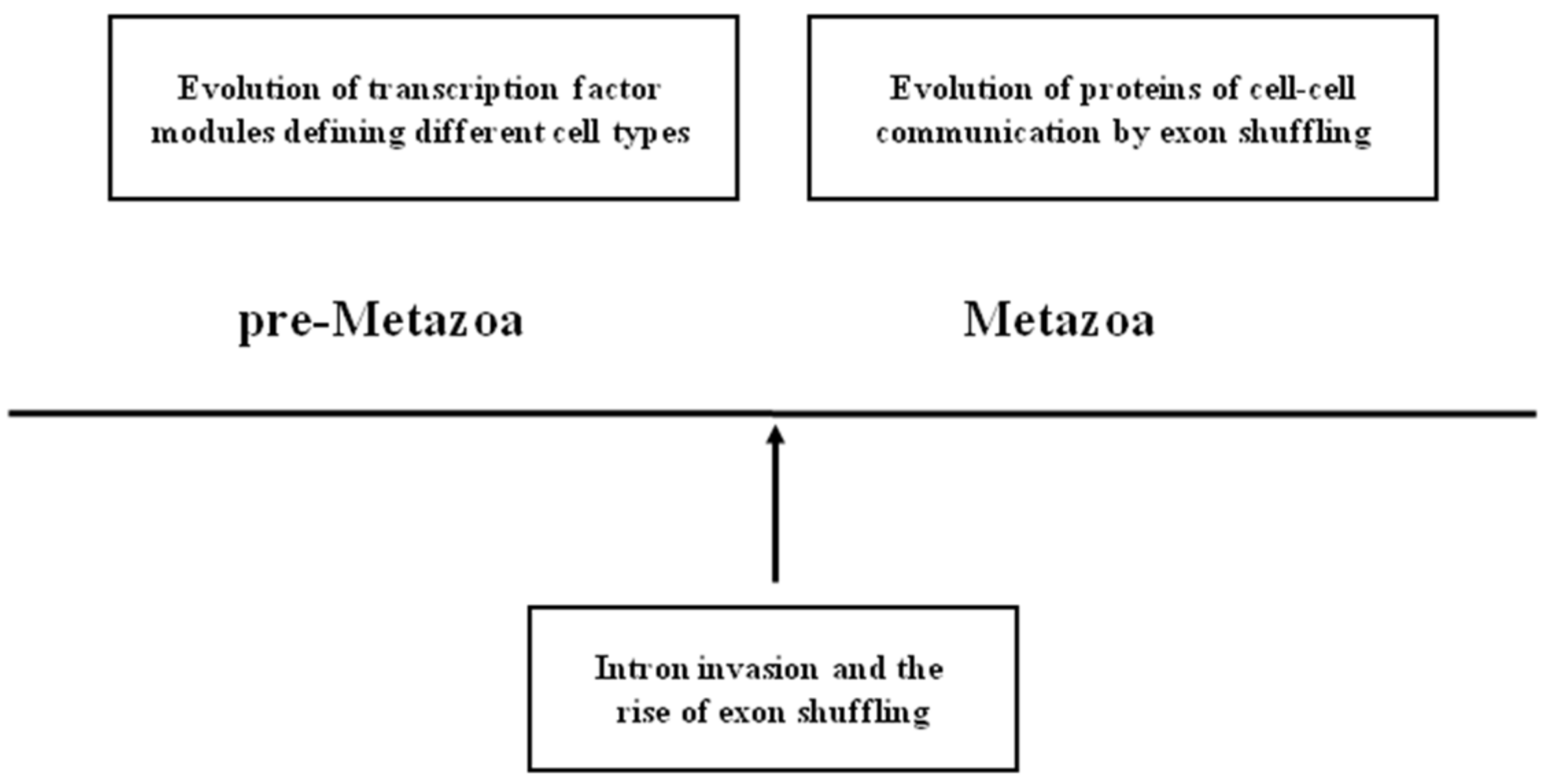 Genes 12 00382 g001