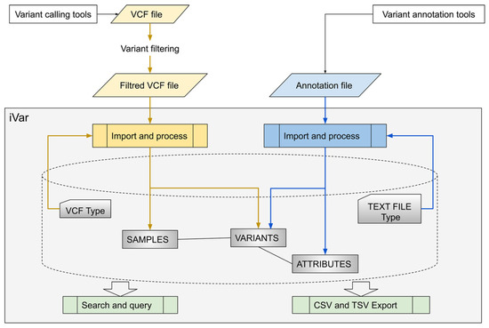 Genes, Free Full-Text