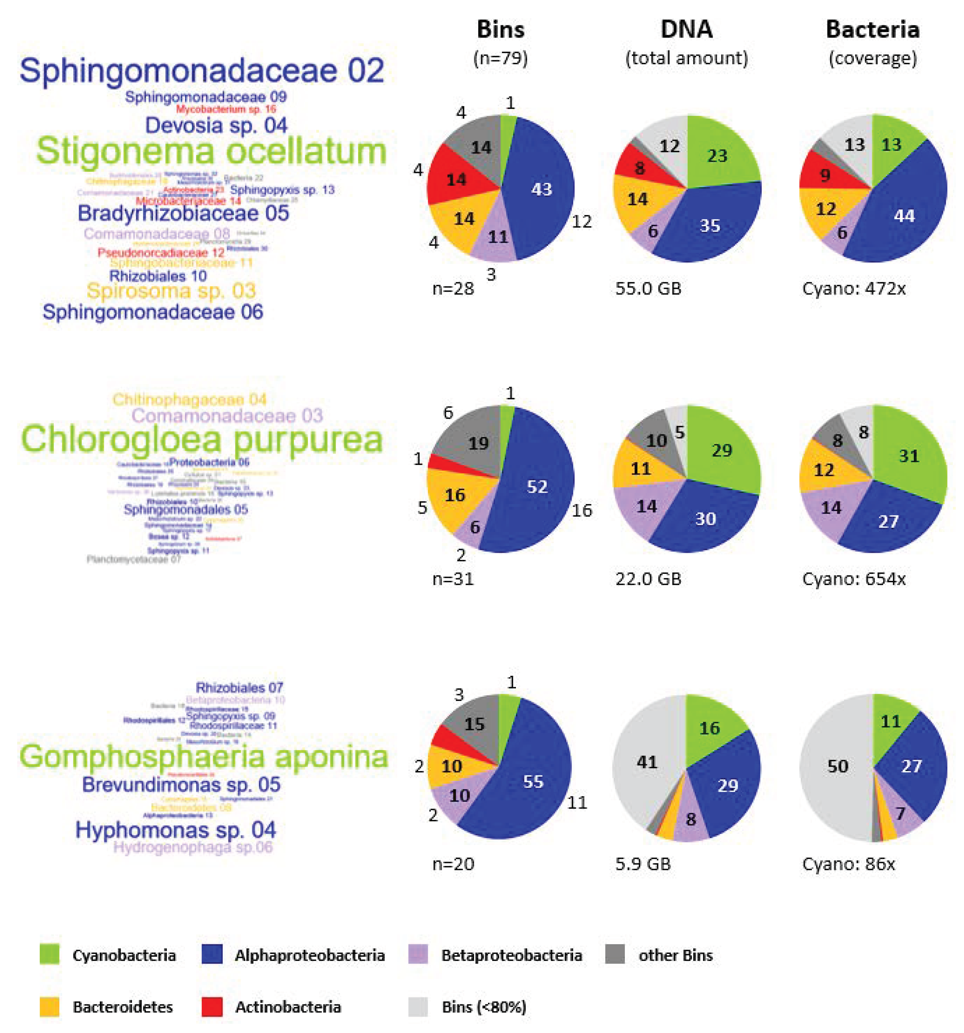 Genes 12 00389 g004 Genes 12 00389 g004