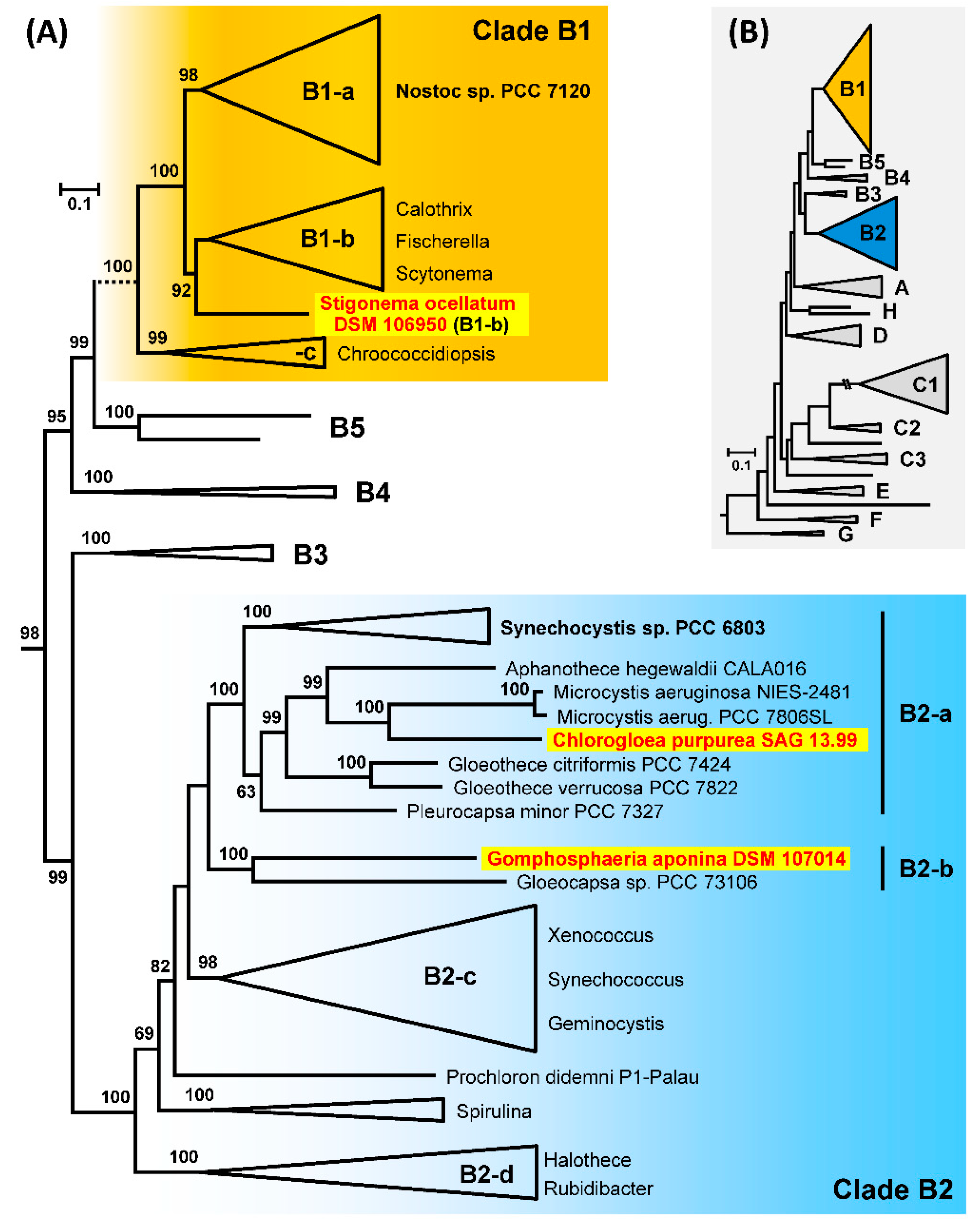 Genes 12 00389 g005 Genes 12 00389 g005