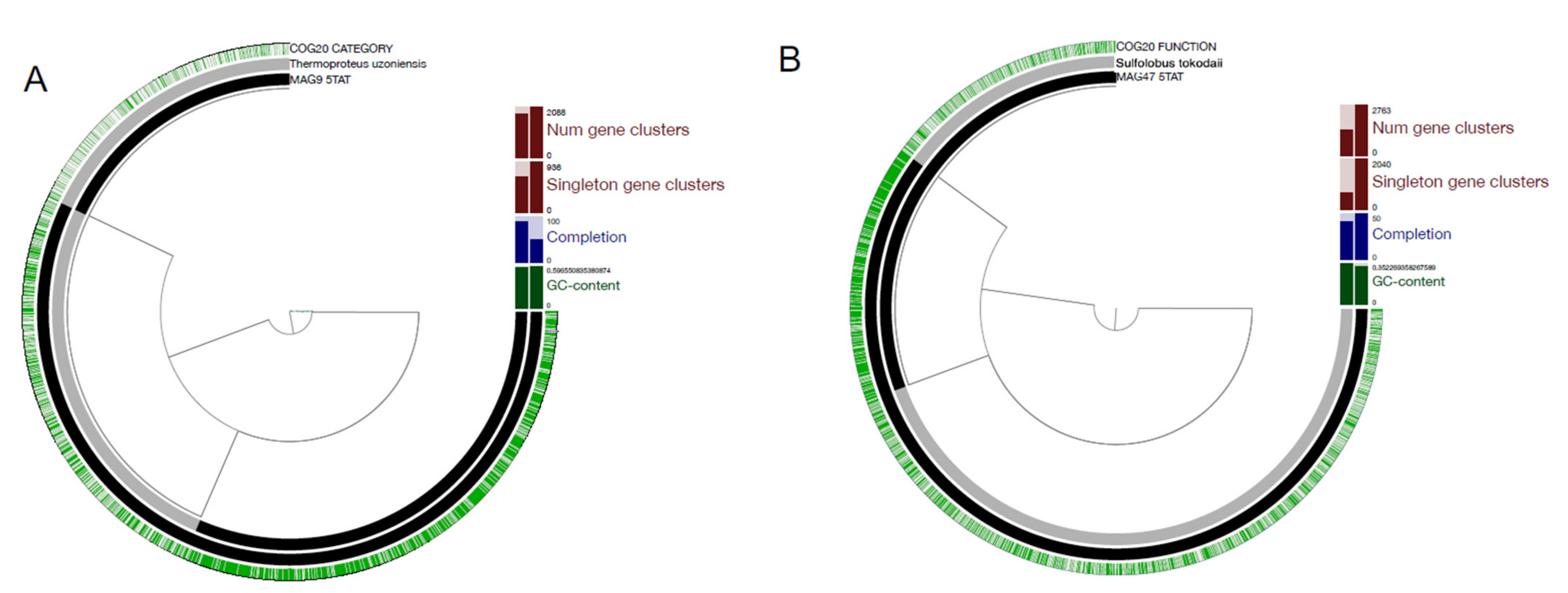 Genes 12 00391 g002