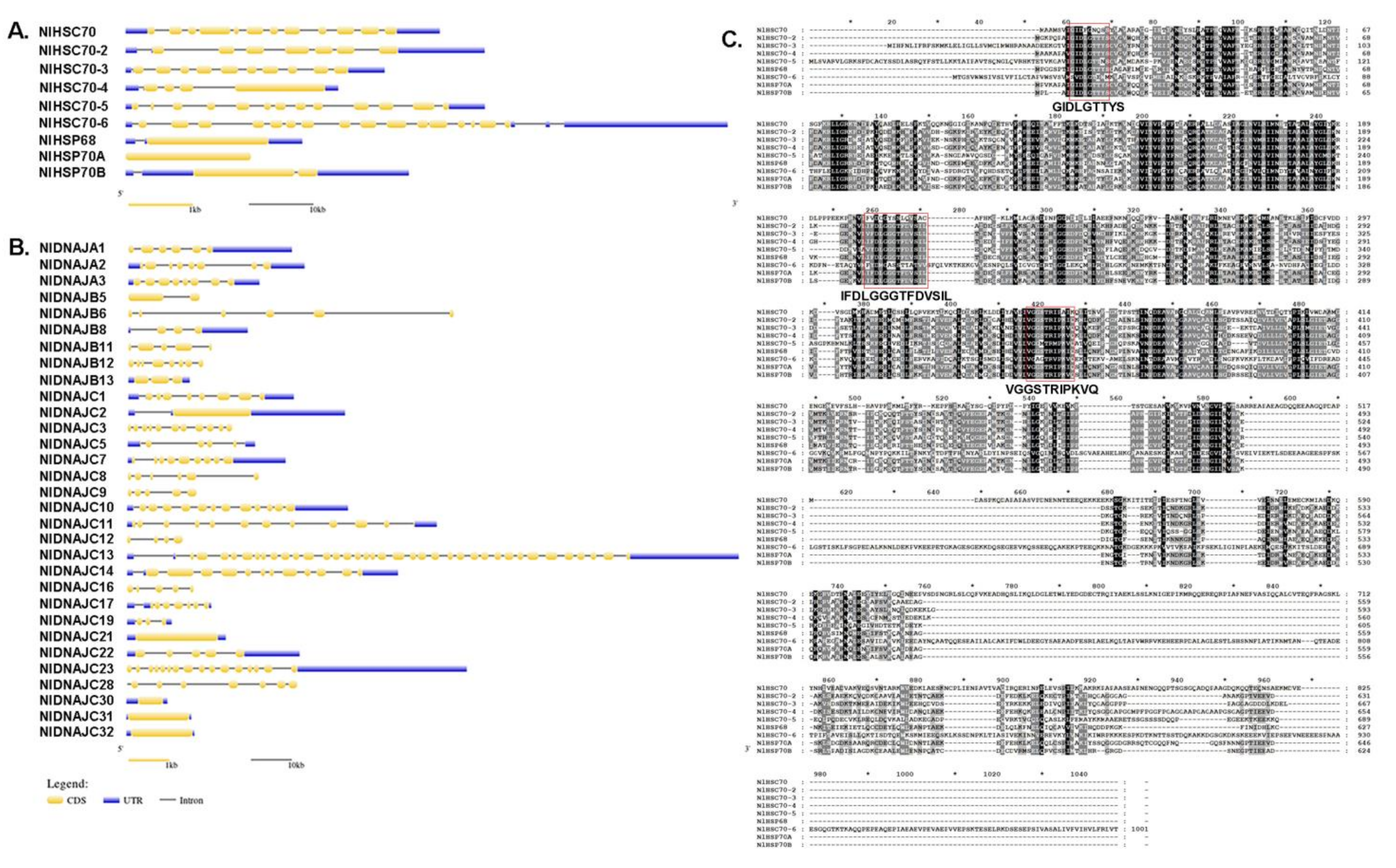 Genes 12 00394 g001 Genes 12 00394 g001