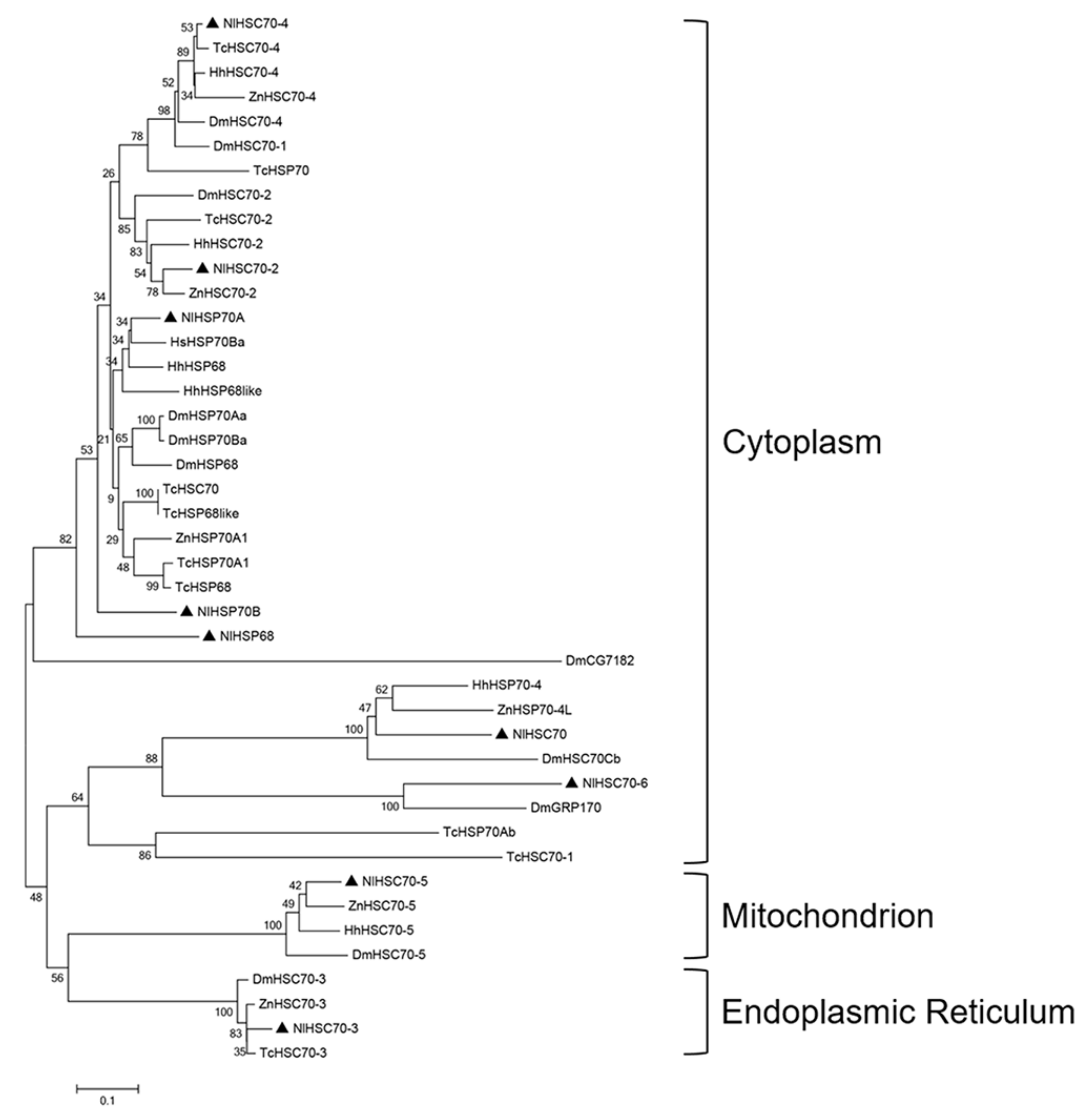 Genes 12 00394 g002 Genes 12 00394 g002