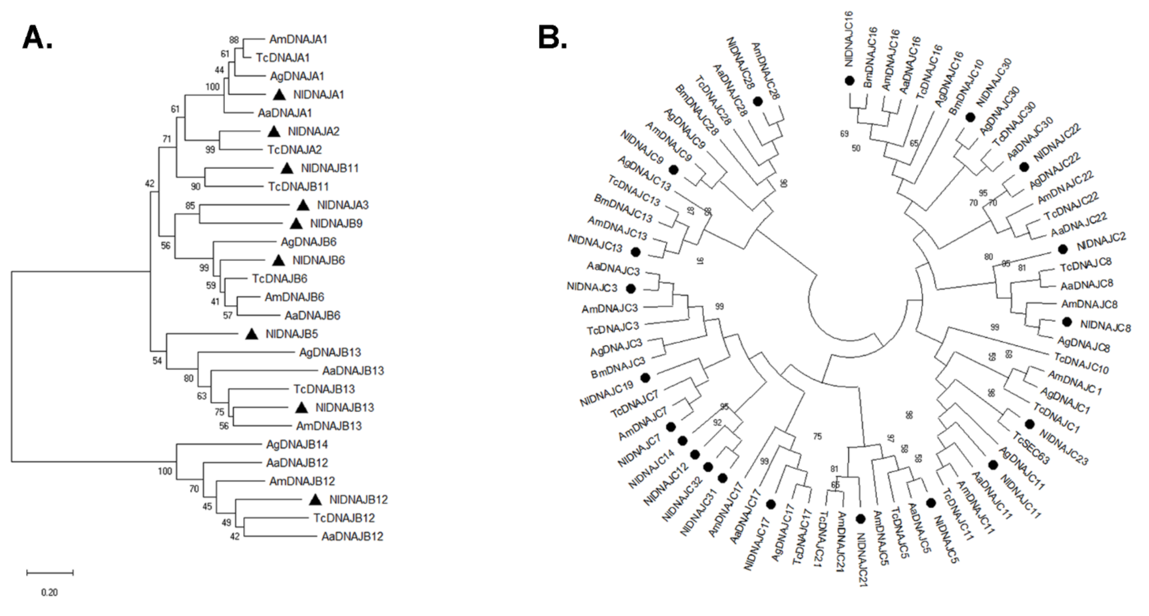 Genes 12 00394 g003 Genes 12 00394 g003
