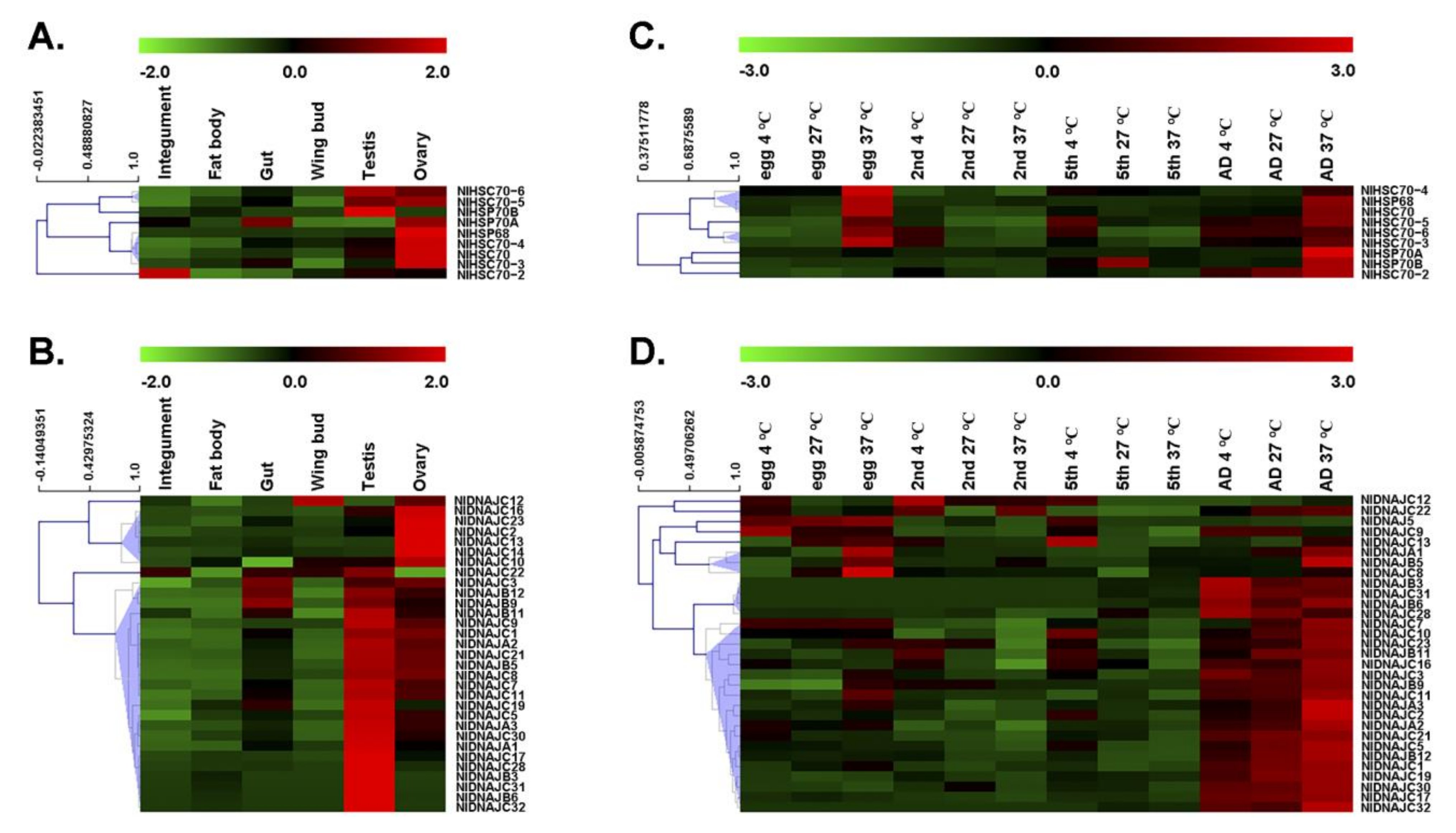 Genes 12 00394 g004 Genes 12 00394 g004