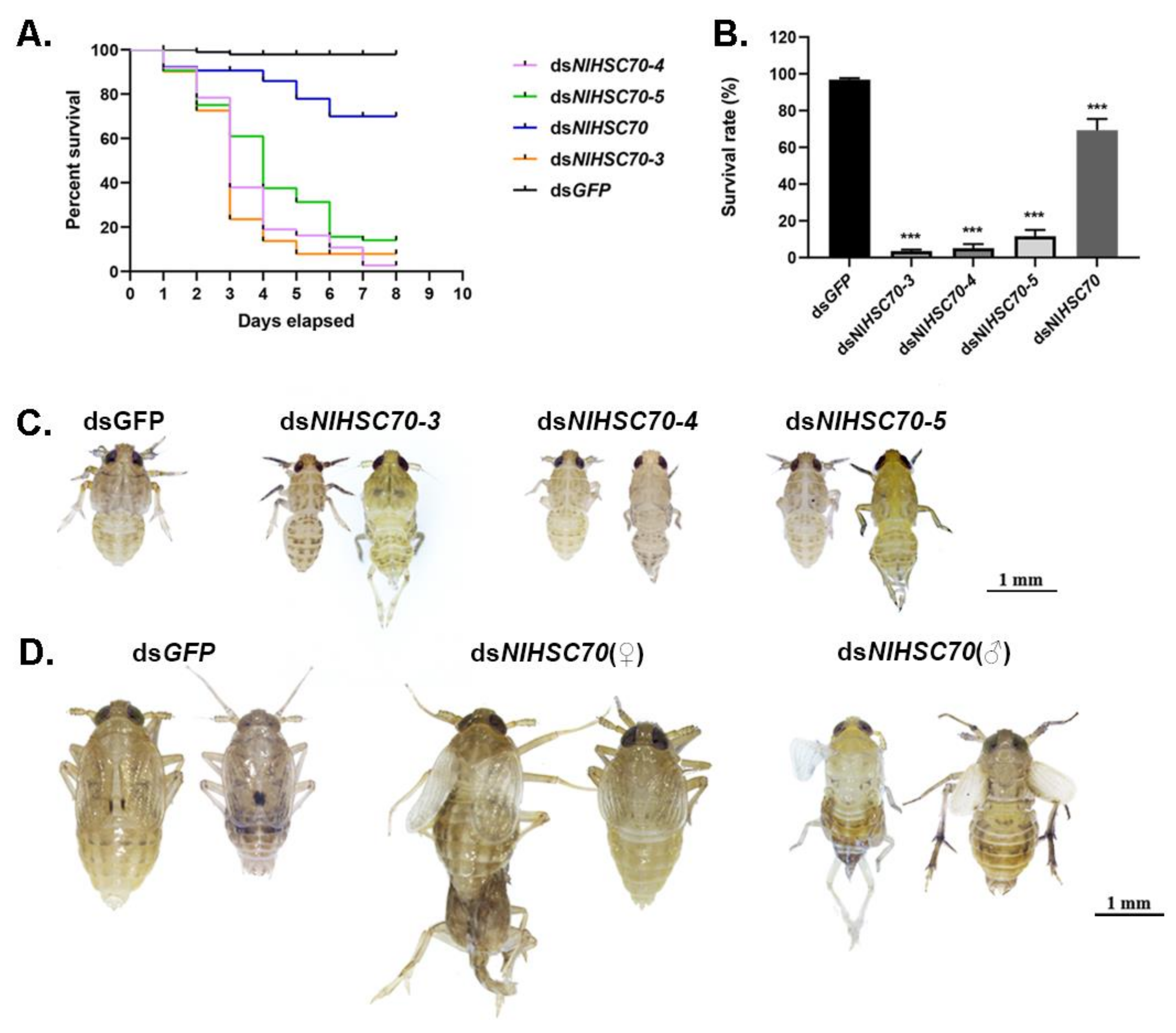 Genes 12 00394 g005 Genes 12 00394 g005