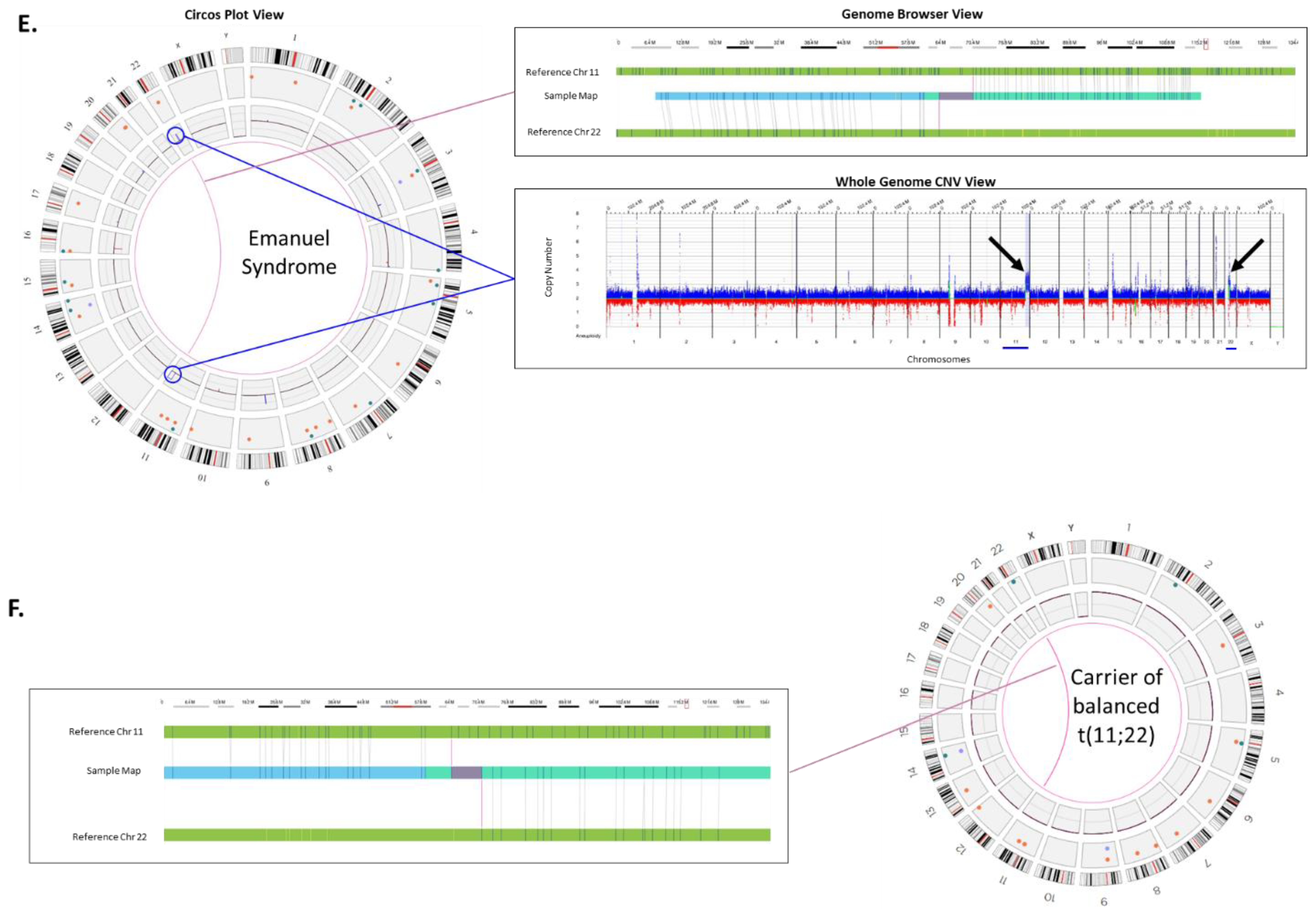 Genes 12 00398 g002c