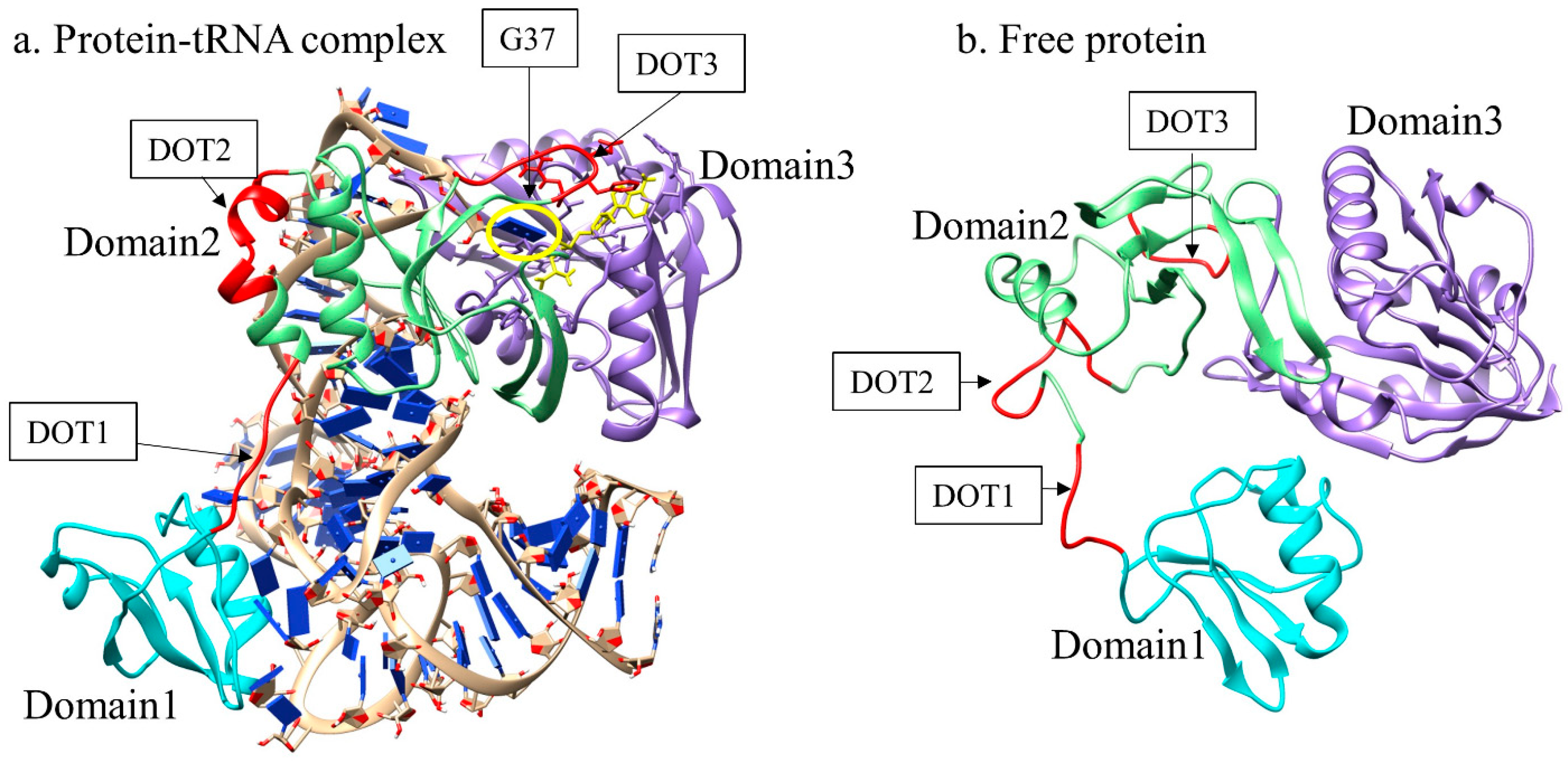 Genes 12 00399 g001 Genes 12 00399 g001