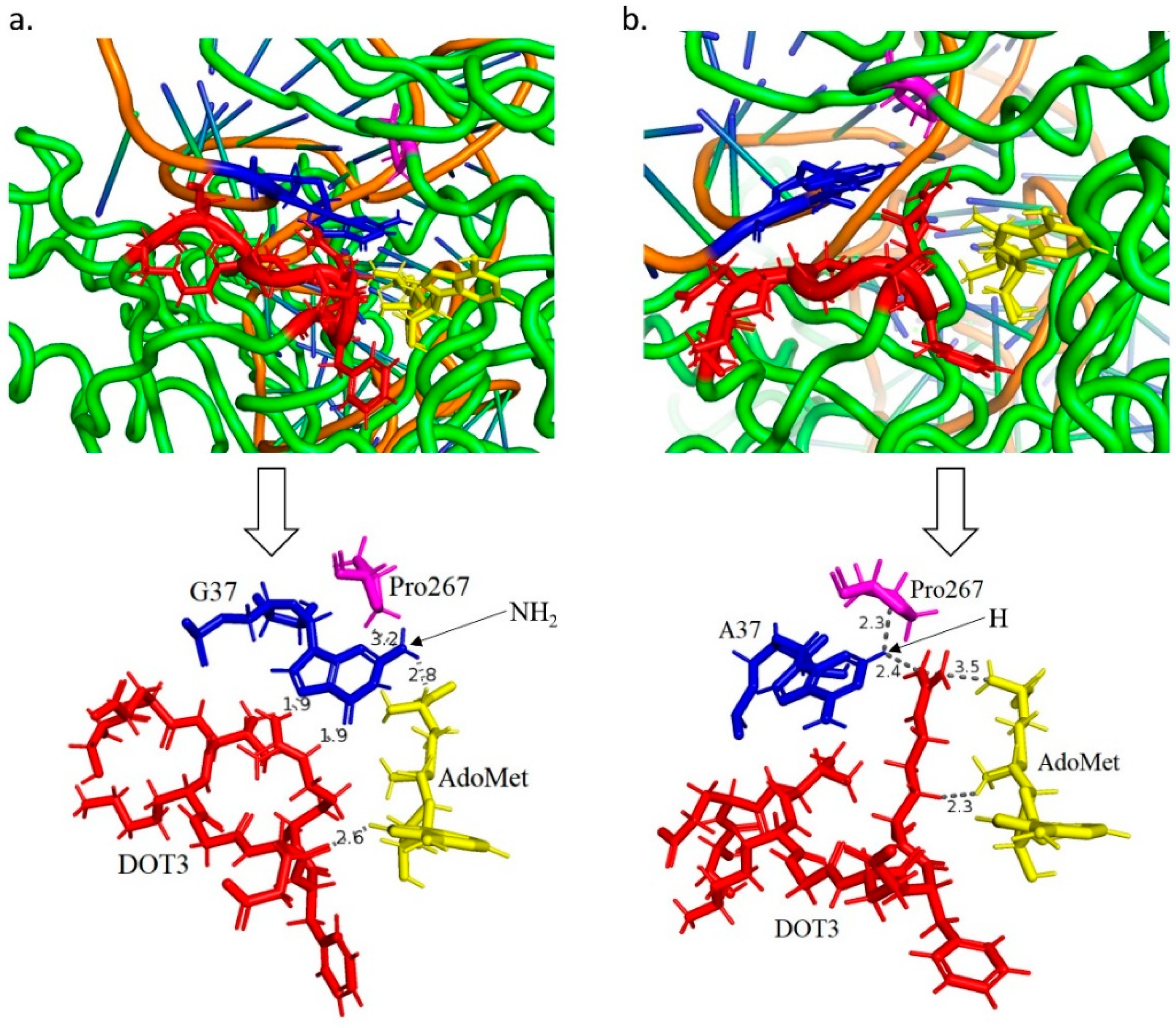 Genes 12 00399 g005 Genes 12 00399 g005