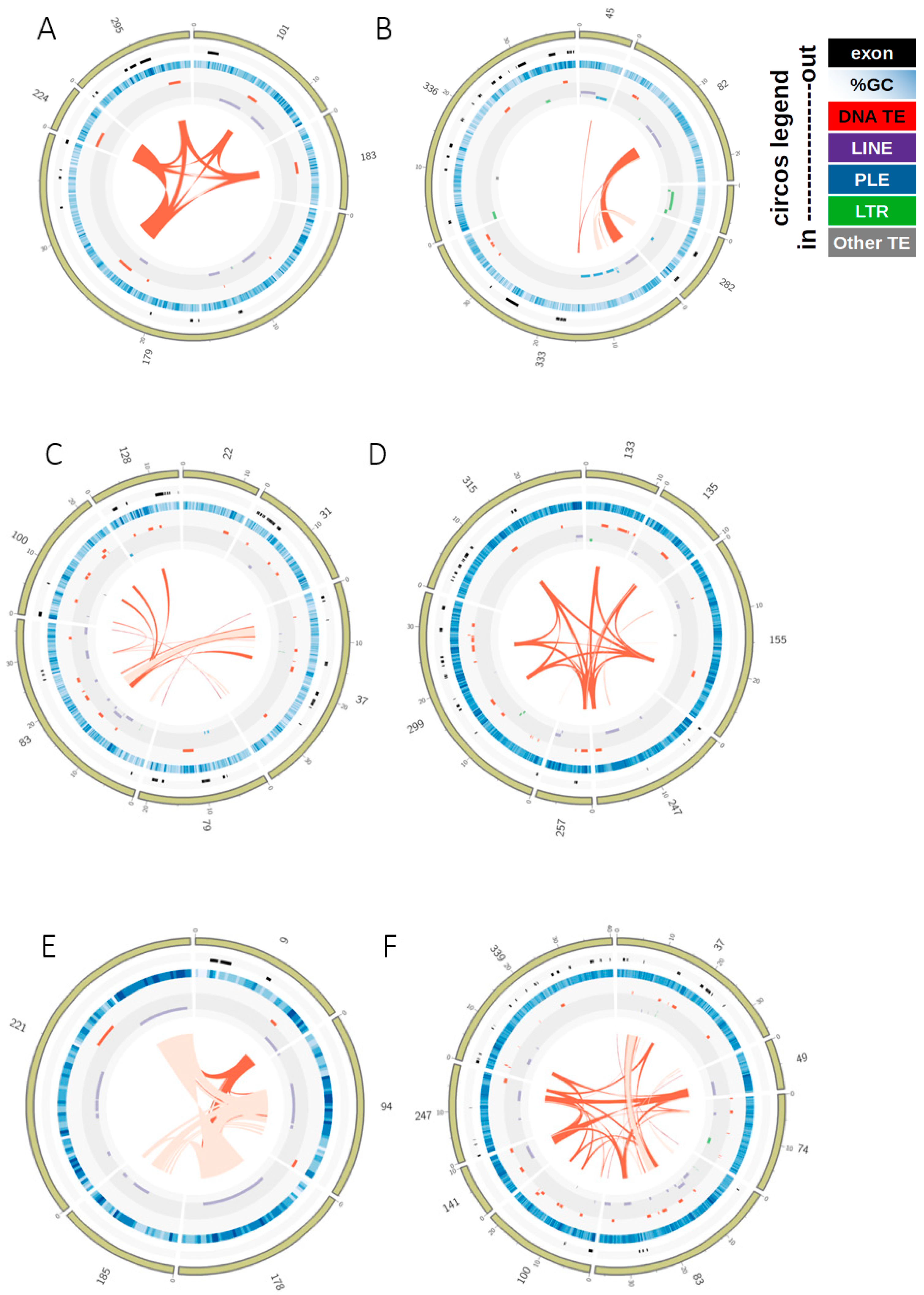 Genes 12 00401 g005 Genes 12 00401 g005