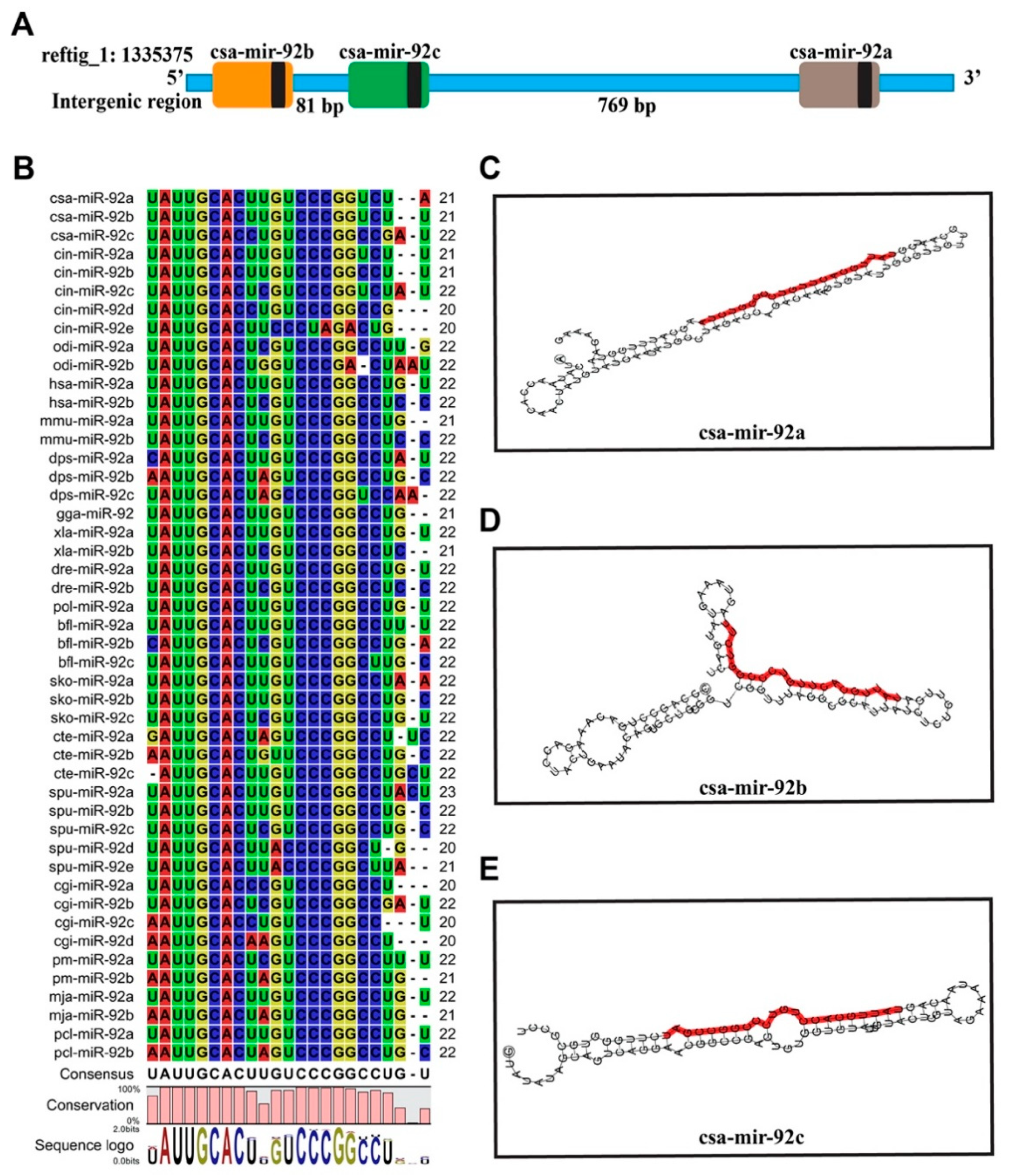 Genes 12 00406 g001
