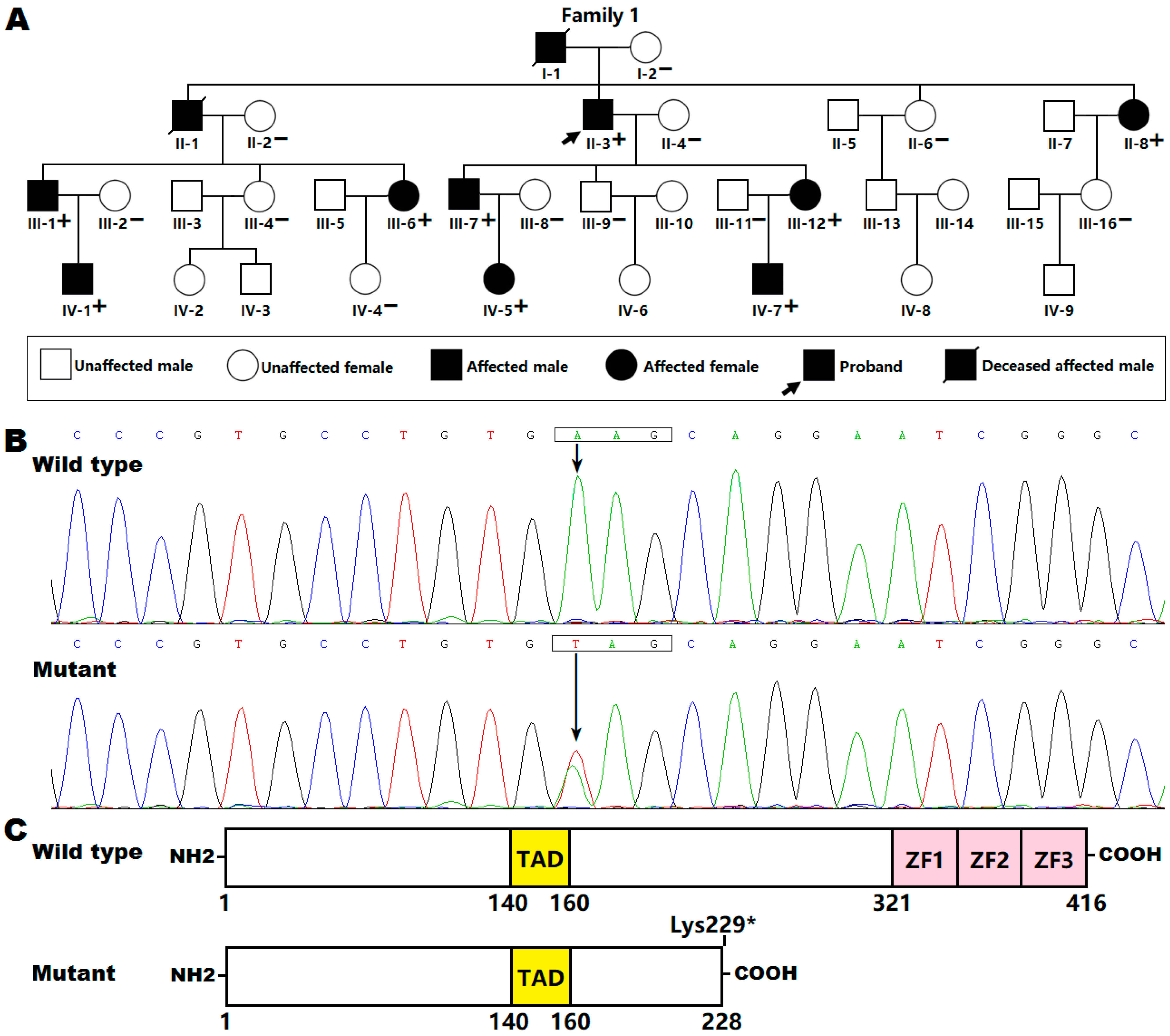 Genes 12 00408 g001 Genes 12 00408 g001