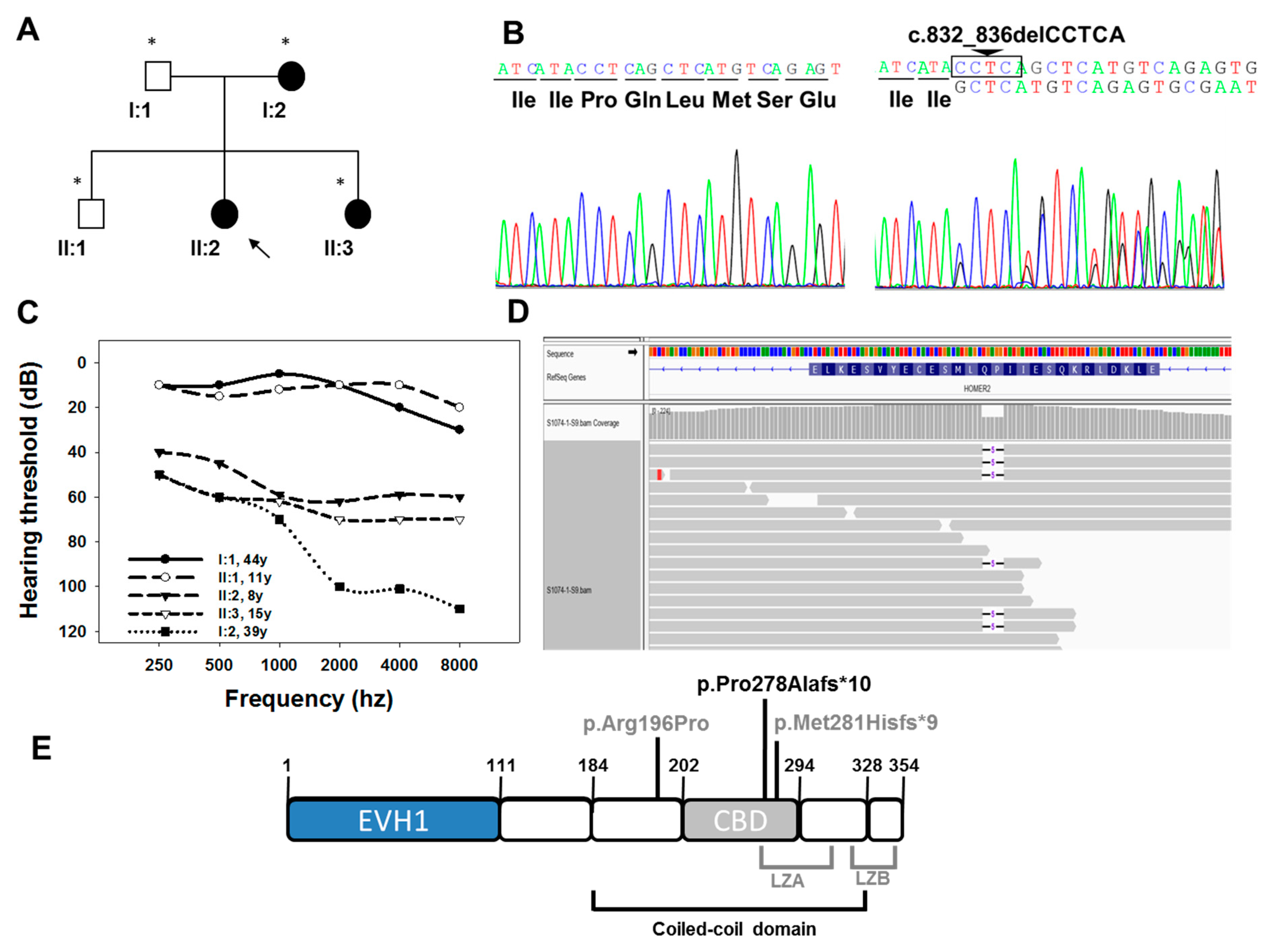 Genes 12 00411 g001
