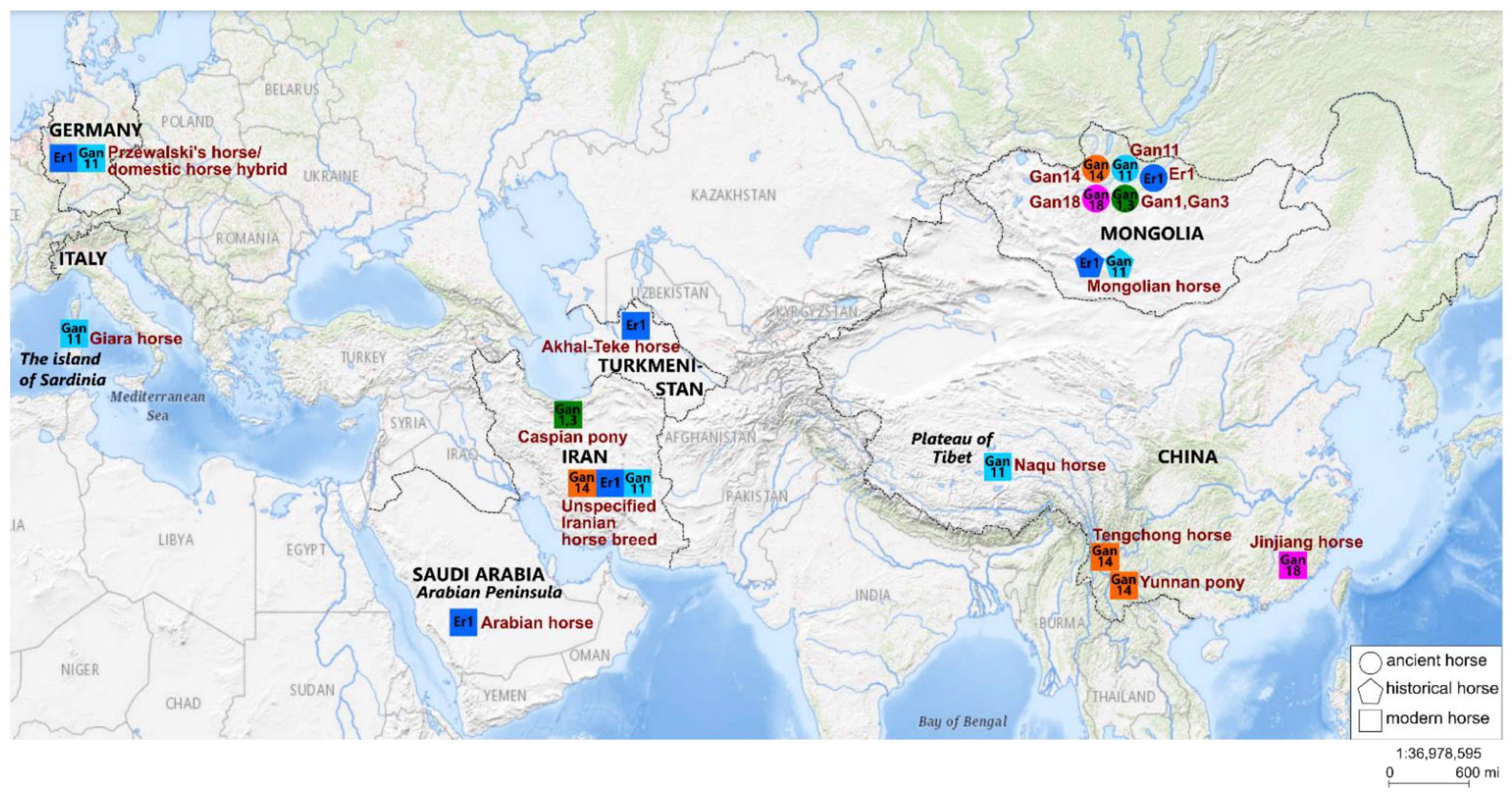 Genes 12 00412 g002 Genes 12 00412 g002