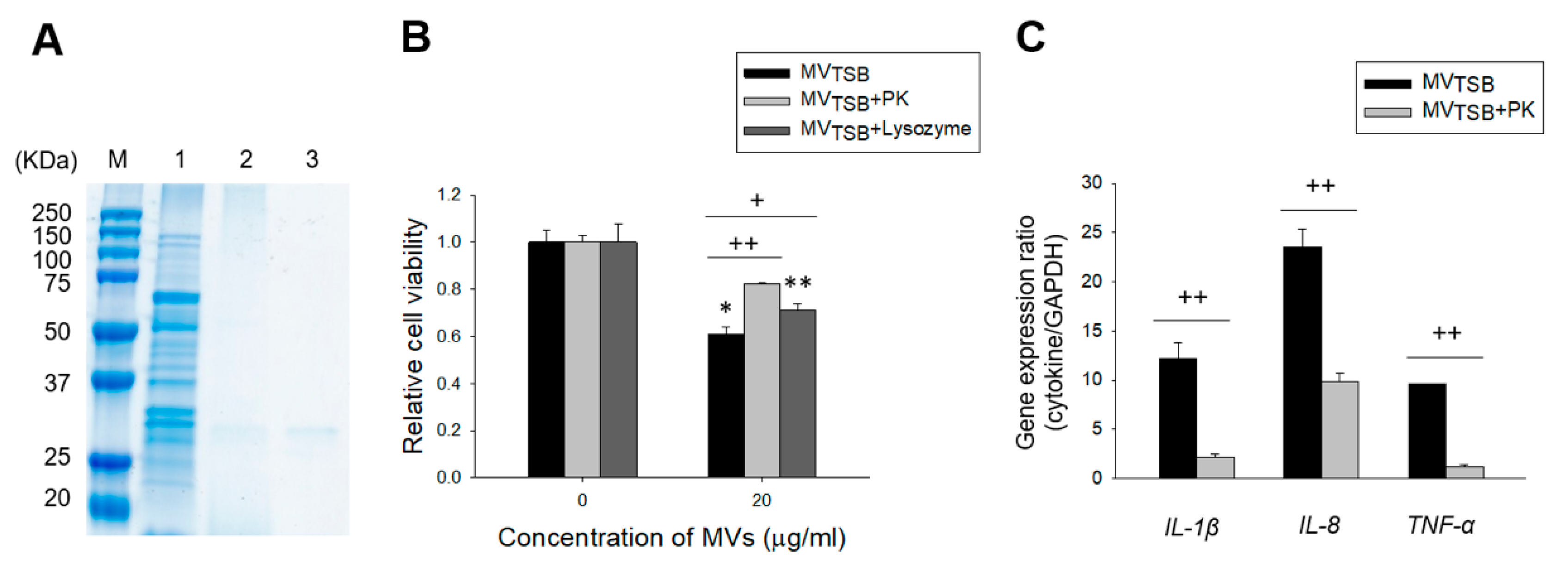 Genes 12 00415 g005 Genes 12 00415 g005