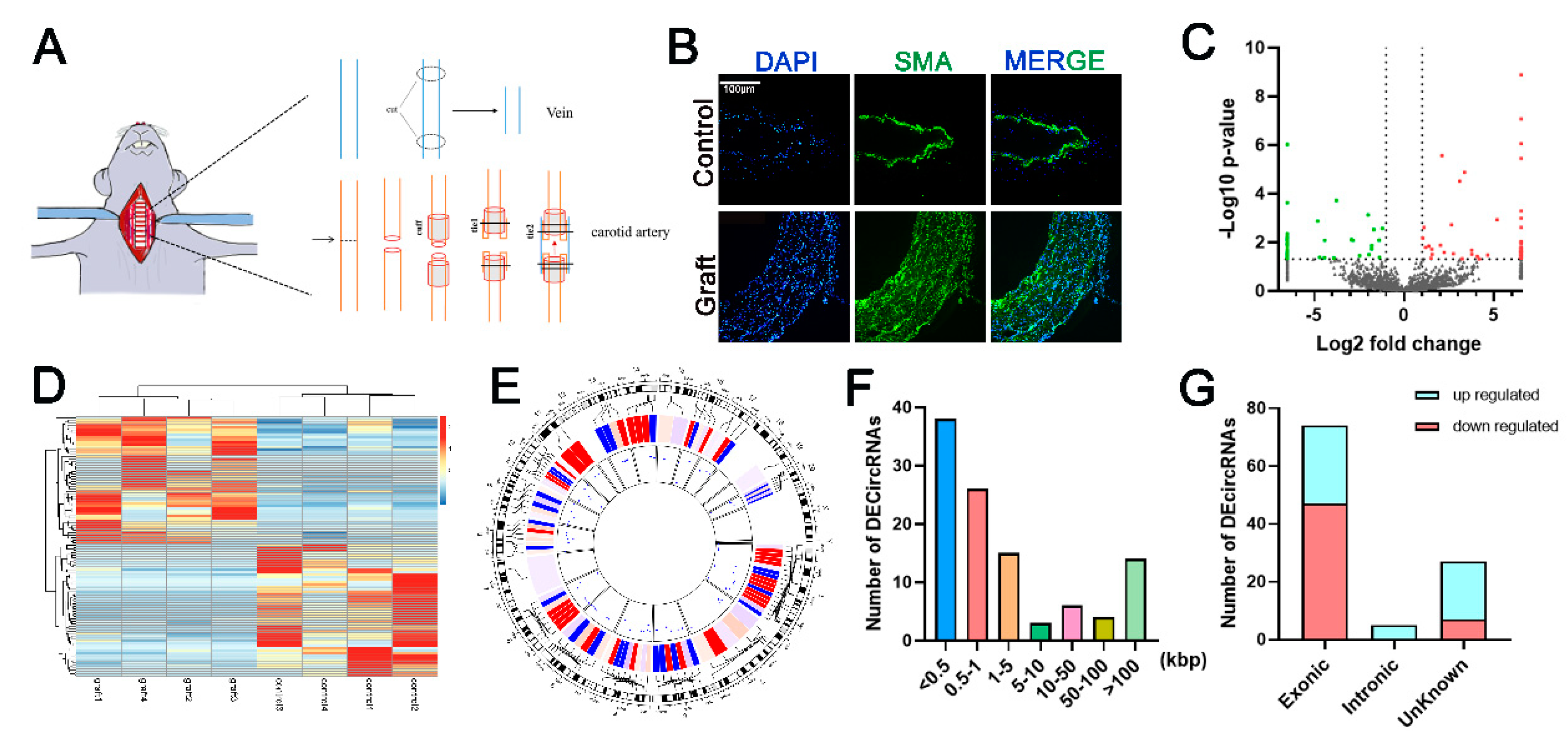 Genes 12 00418 g001 Genes 12 00418 g001
