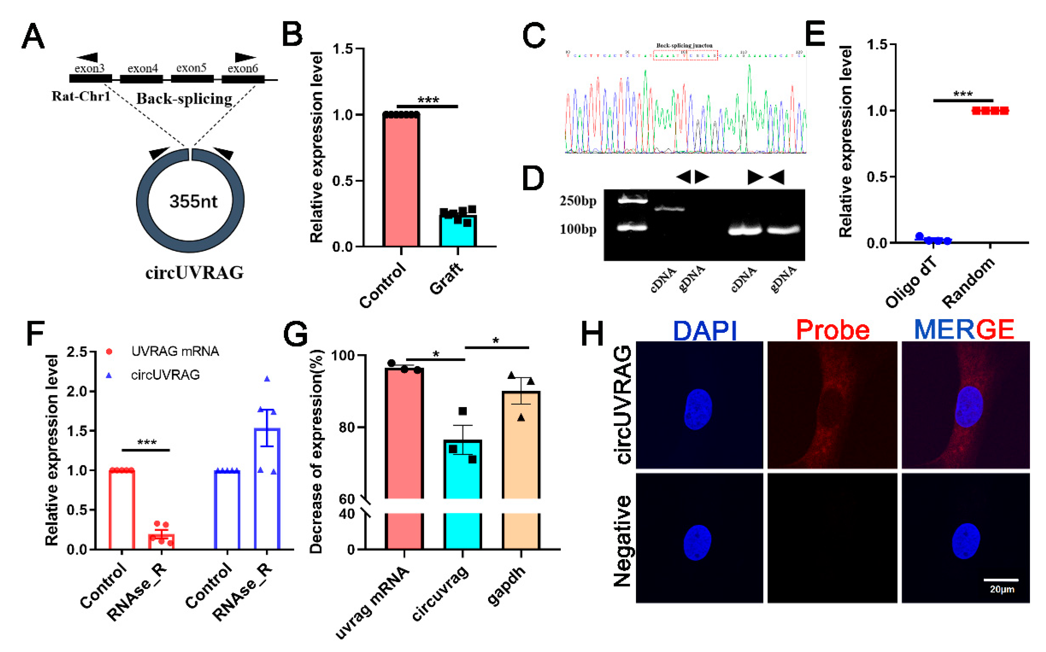 Genes 12 00418 g002 Genes 12 00418 g002