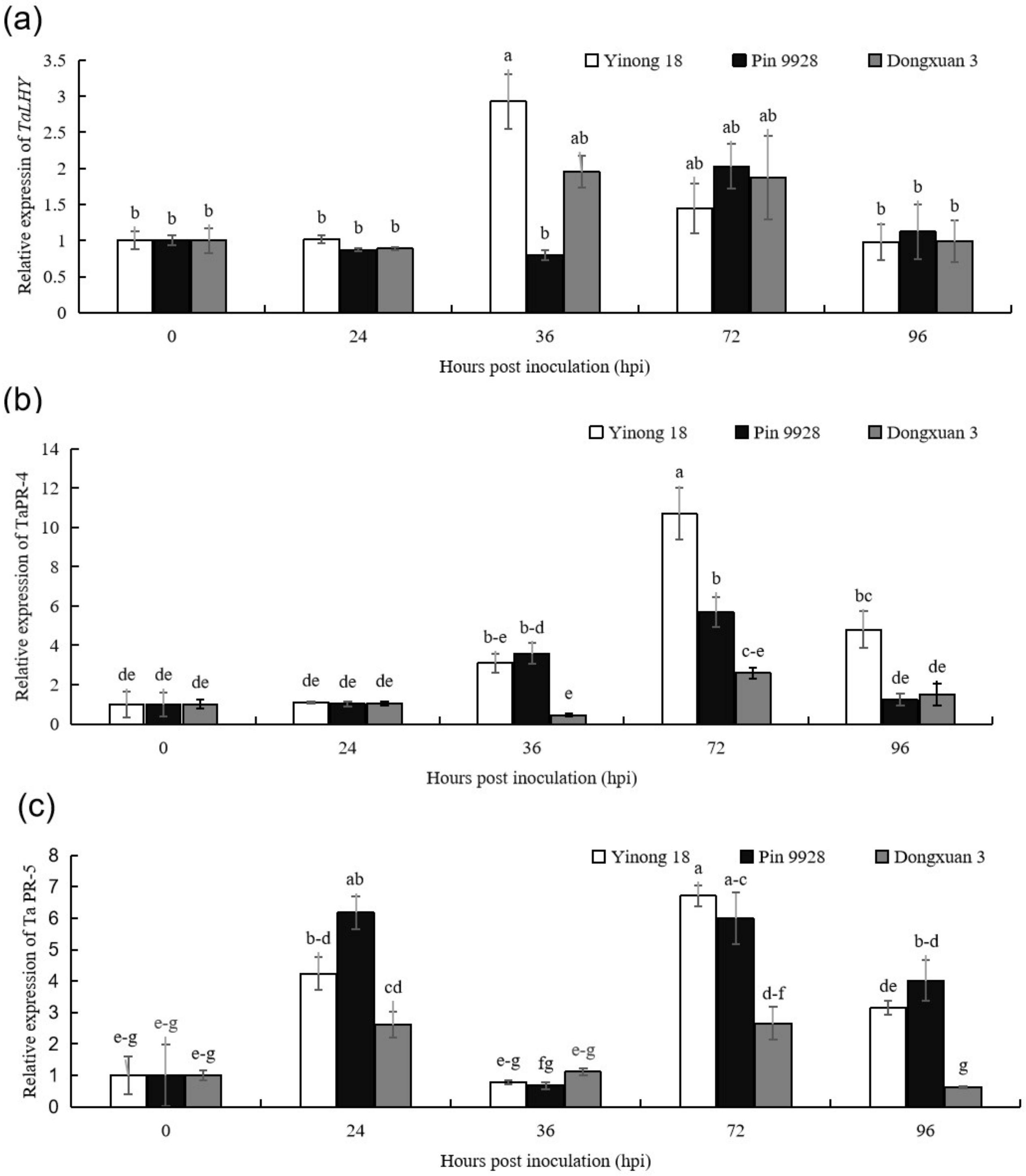Genes 12 00425 g001 Genes 12 00425 g001