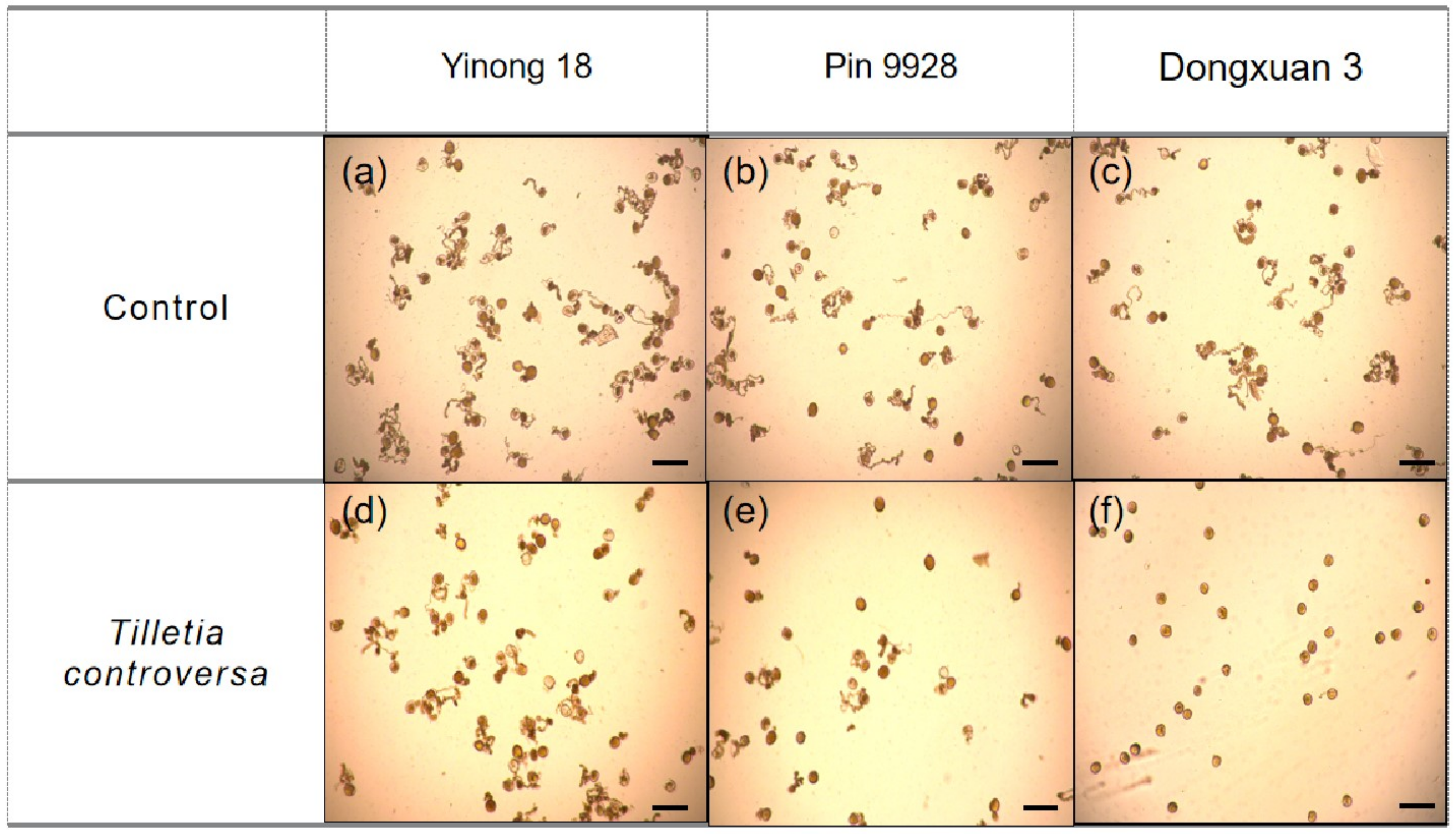 Genes 12 00425 g006 Genes 12 00425 g006