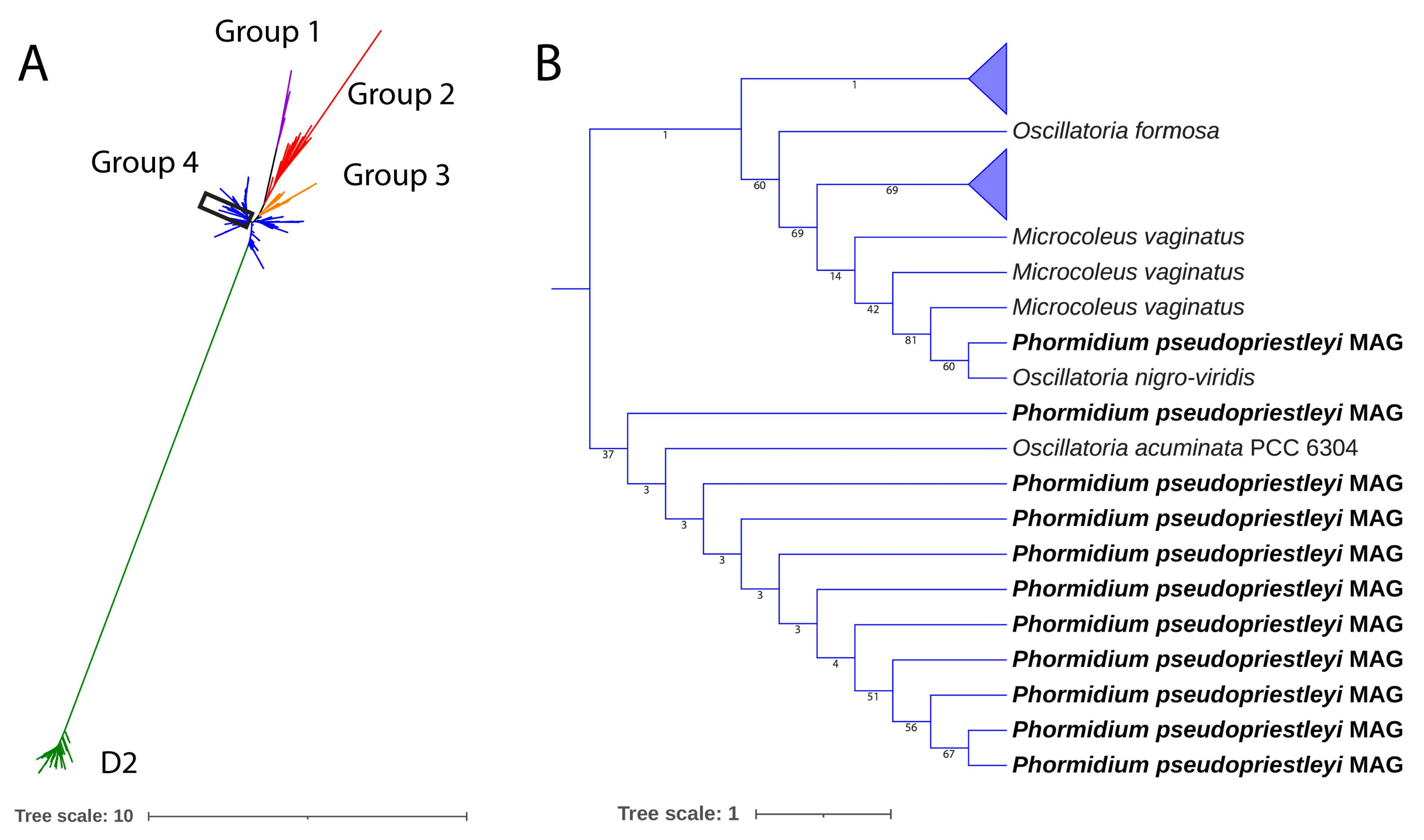 Genes 12 00426 g003