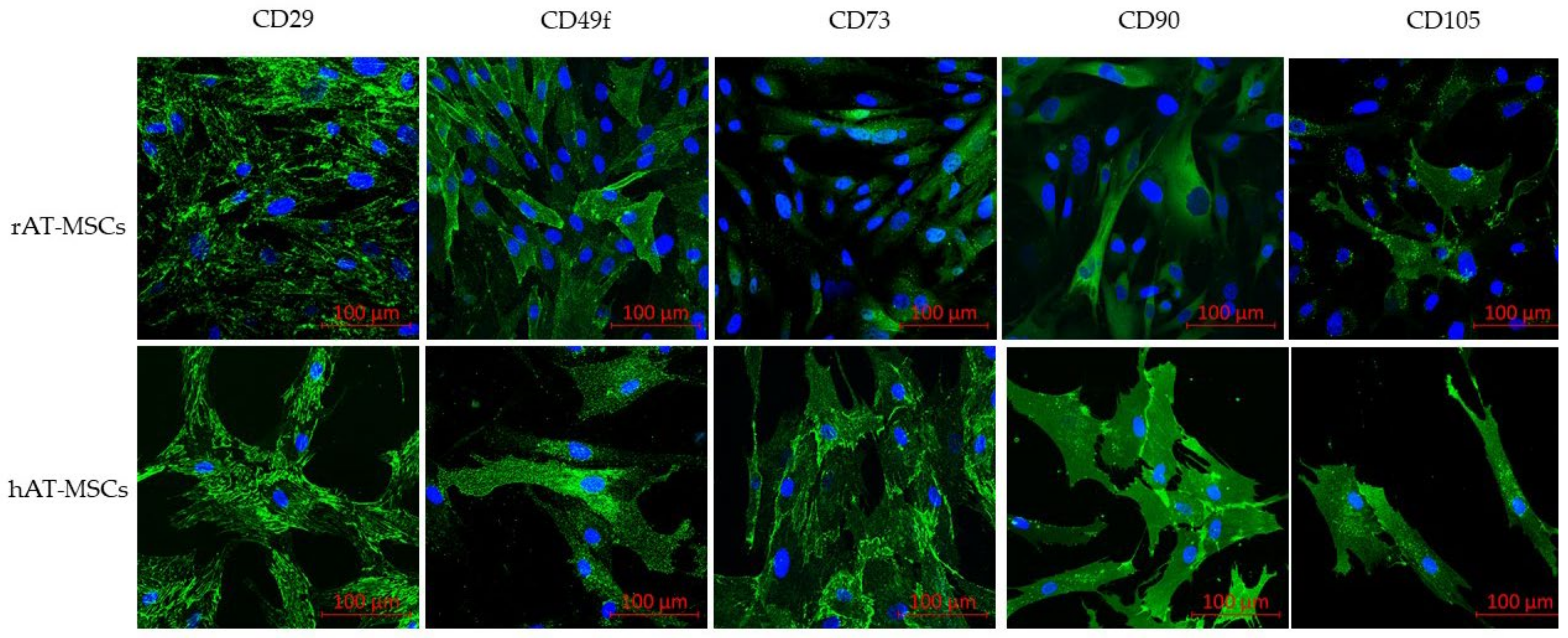 Genes 12 00431 g002 Genes 12 00431 g002
