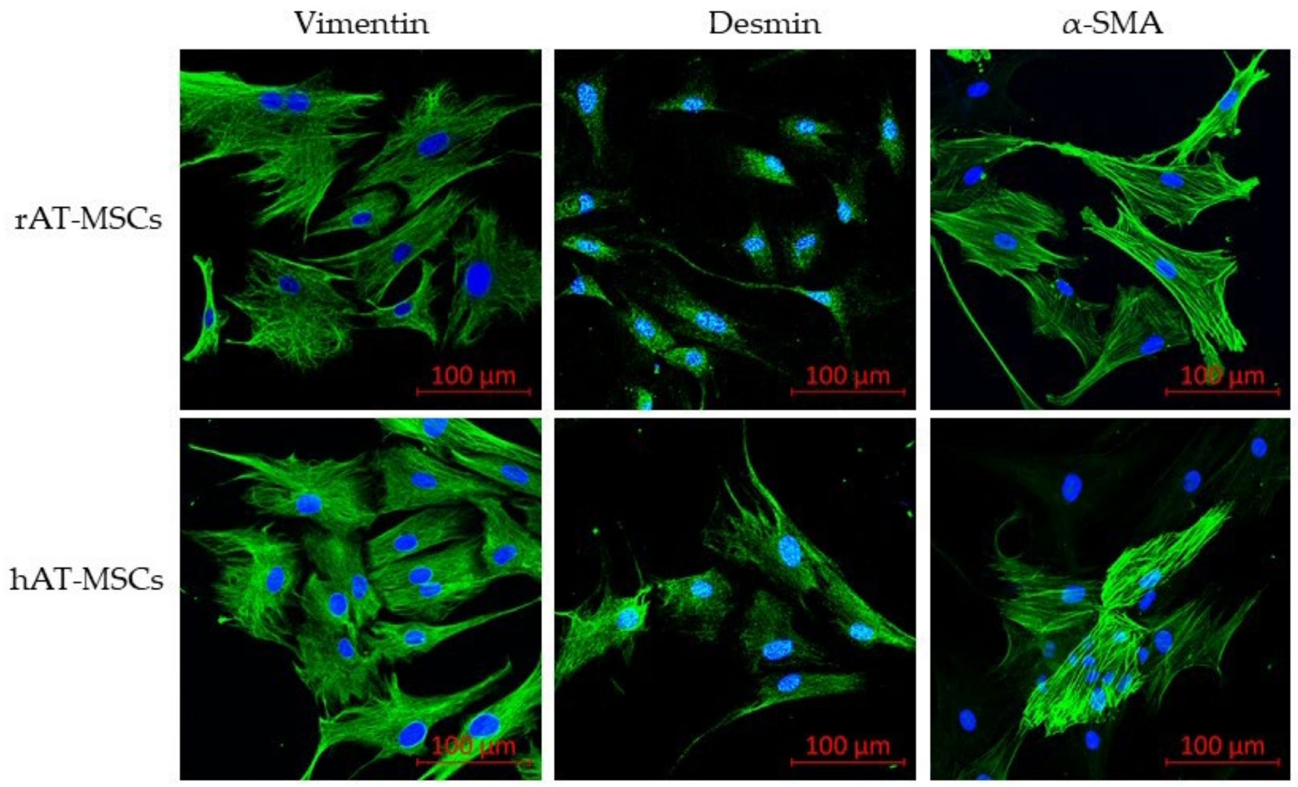 Genes 12 00431 g003 Genes 12 00431 g003