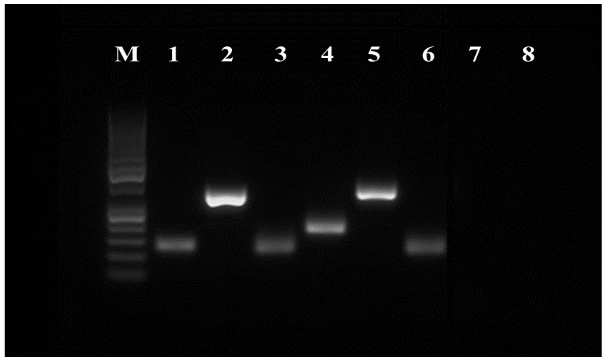 Genes 12 00431 g005 Genes 12 00431 g005