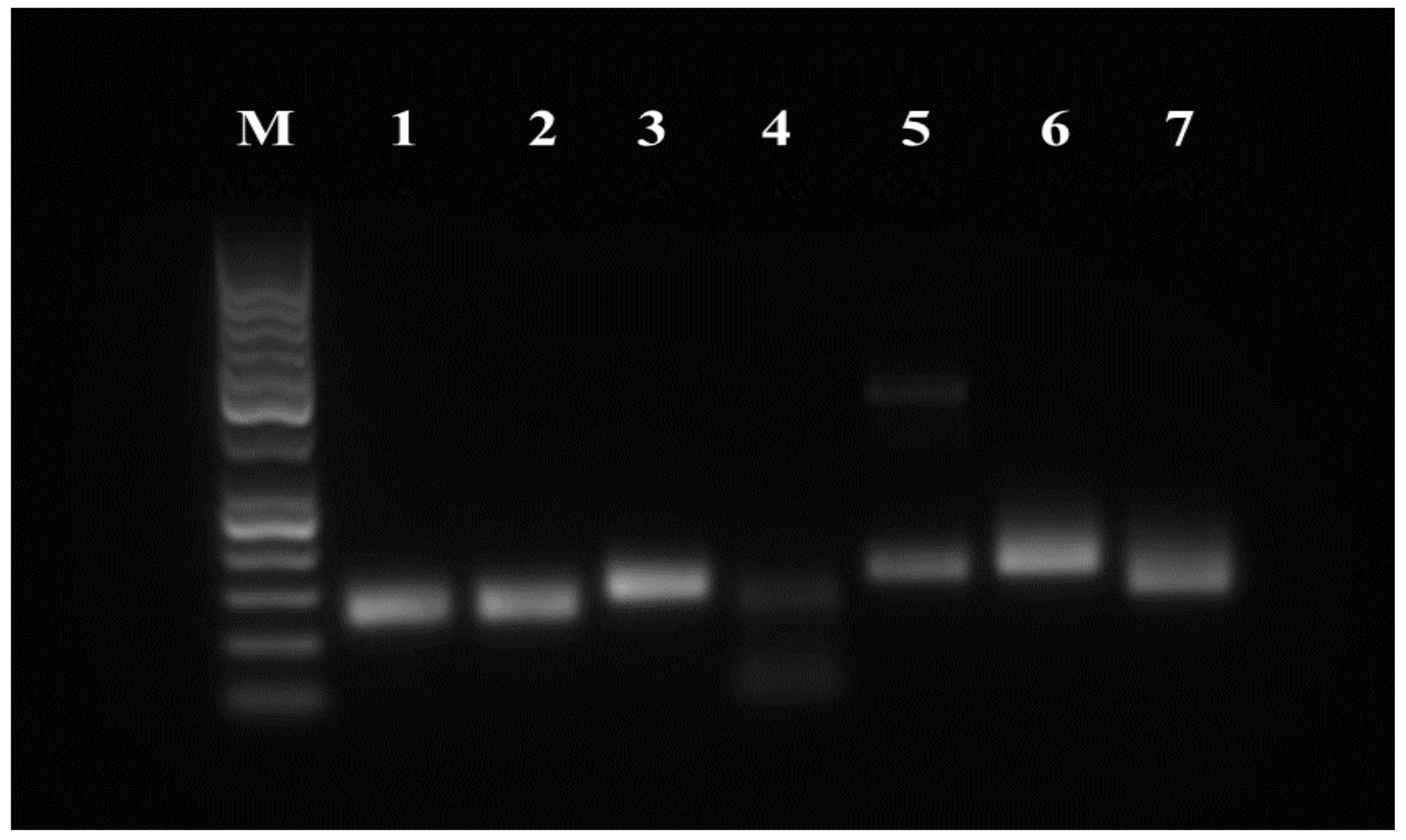 Genes 12 00431 g006 Genes 12 00431 g006