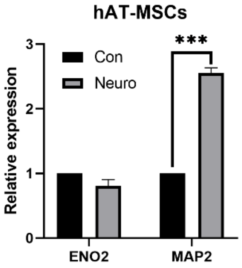 Genes 12 00431 g008 Genes 12 00431 g008