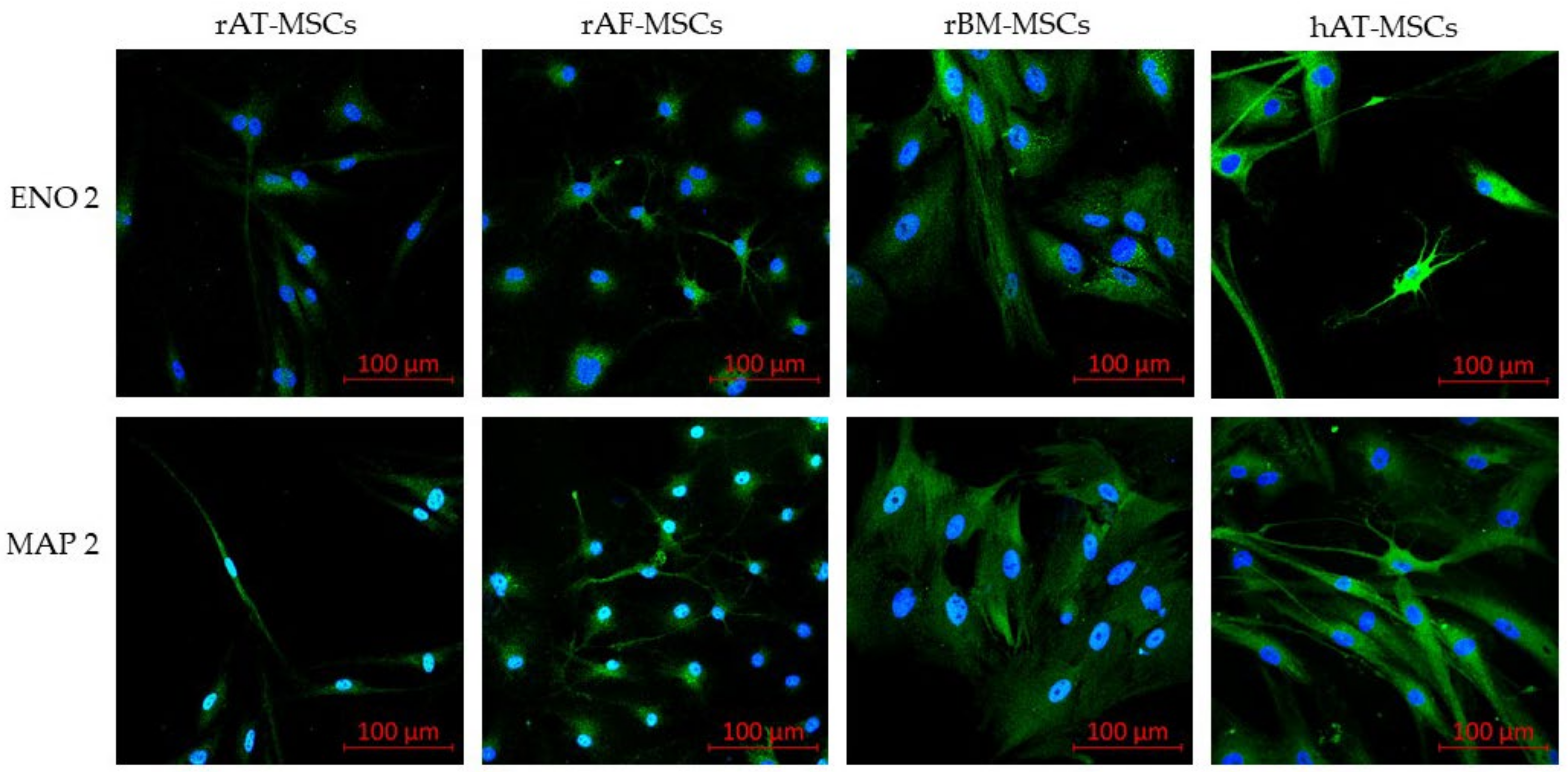 Genes 12 00431 g009 Genes 12 00431 g009