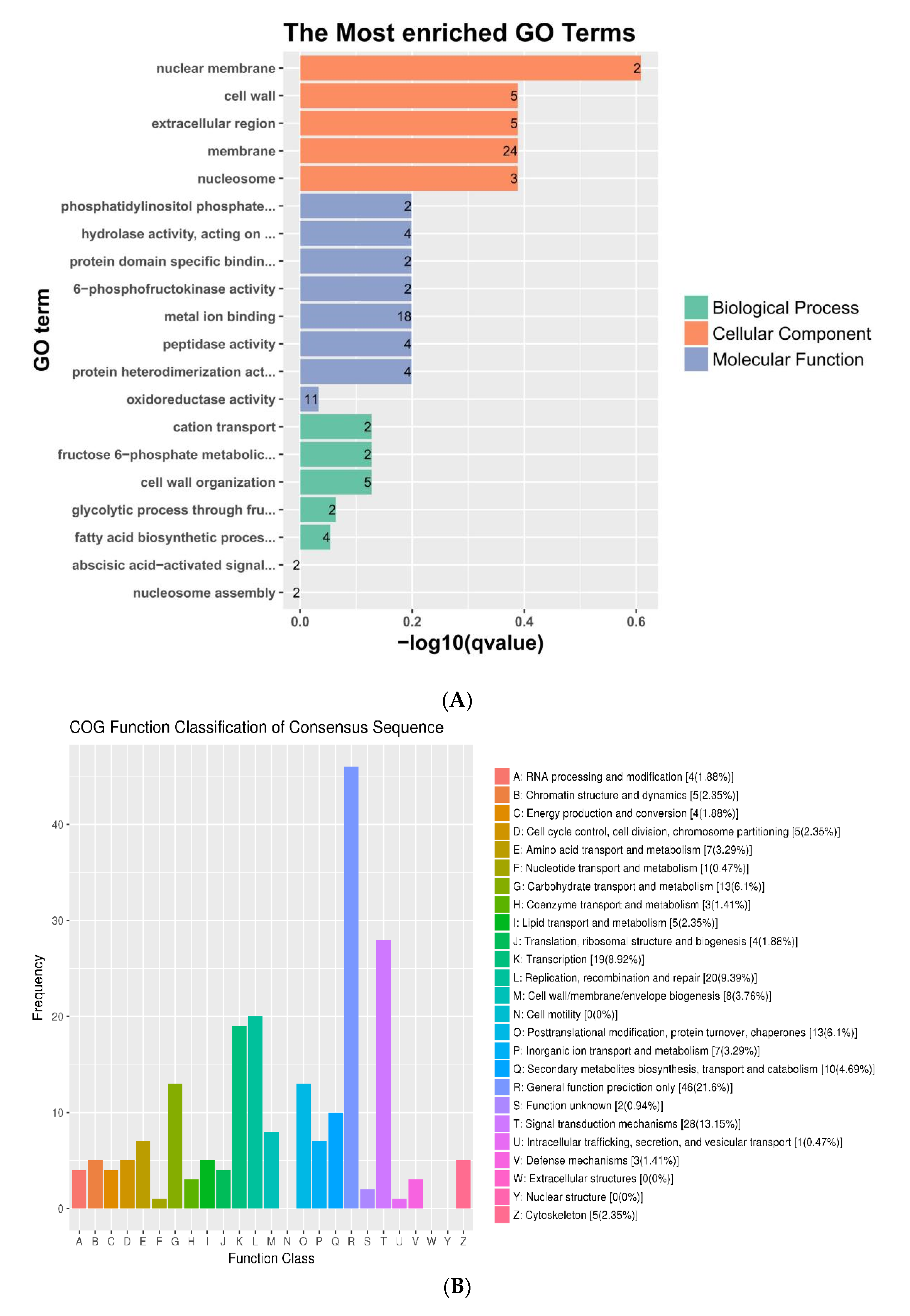 Genes 12 00432 g004a