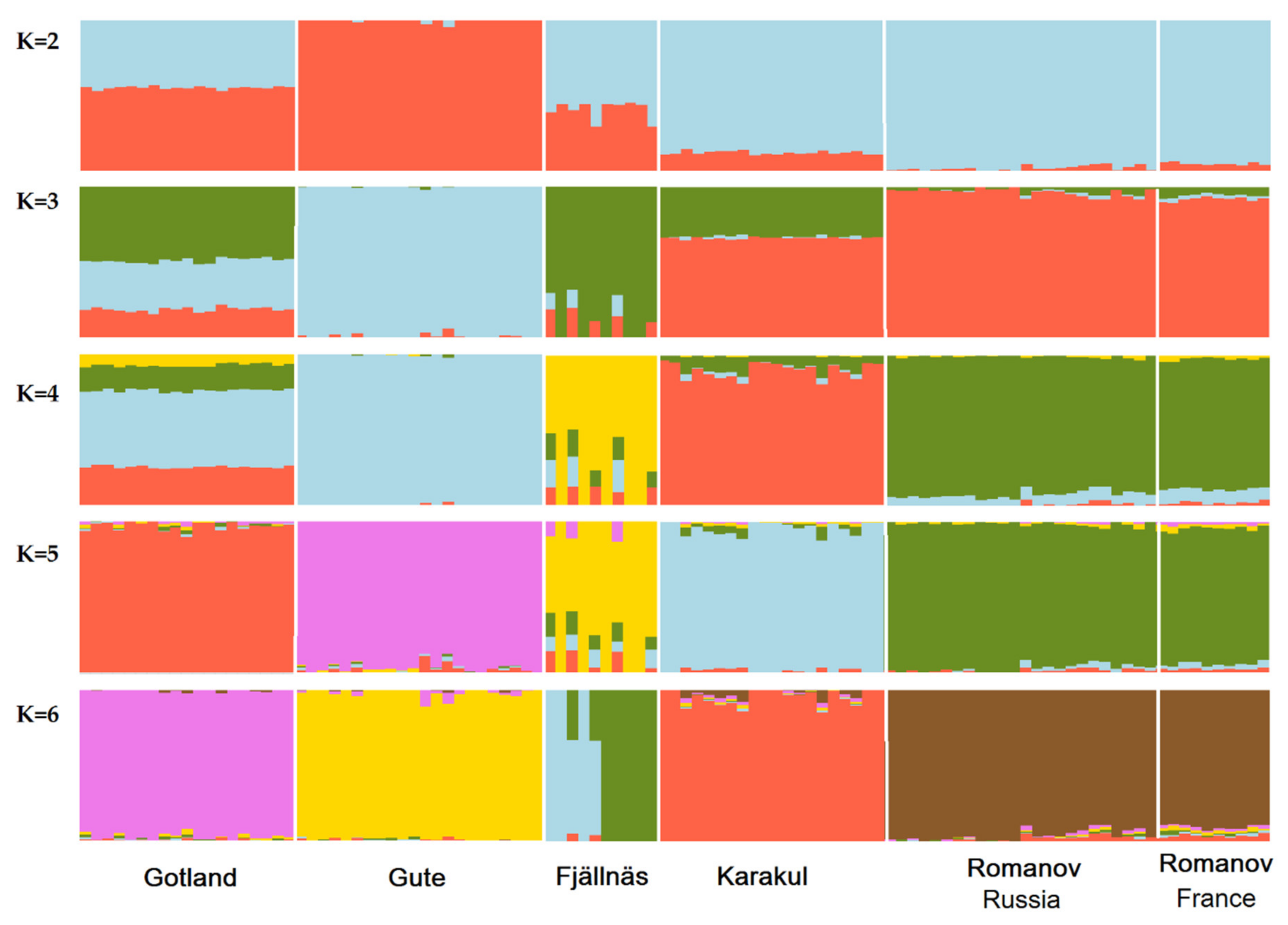 Genes 12 00433 g002 Genes 12 00433 g002