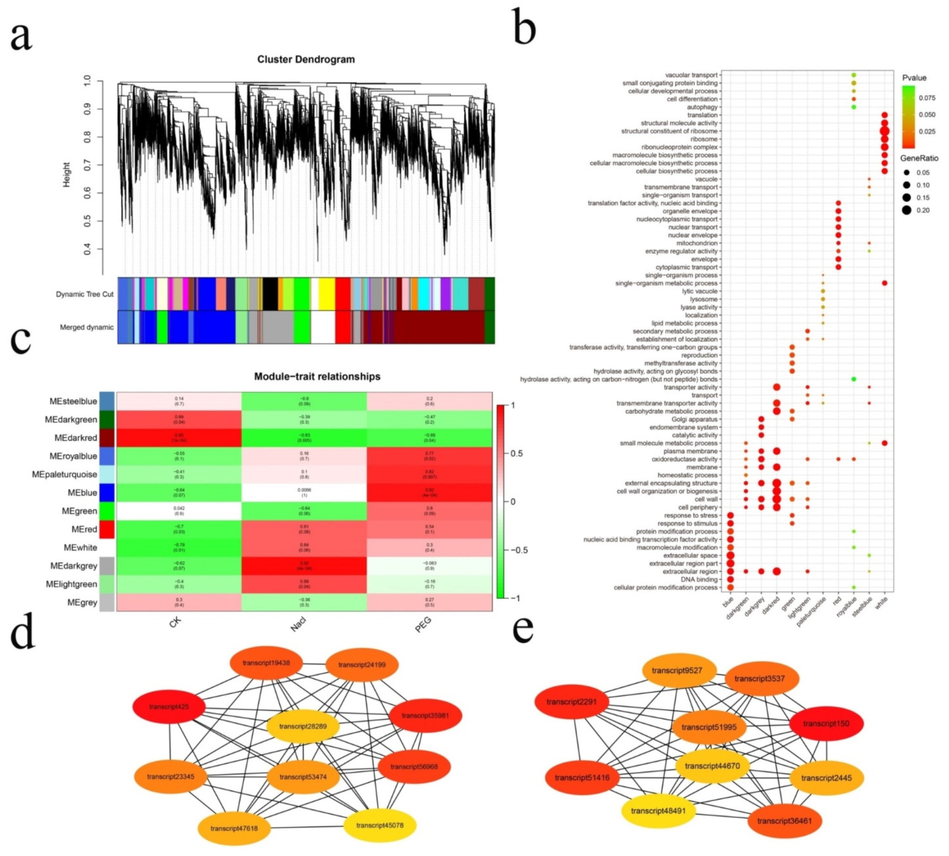 Genes 12 00434 g003