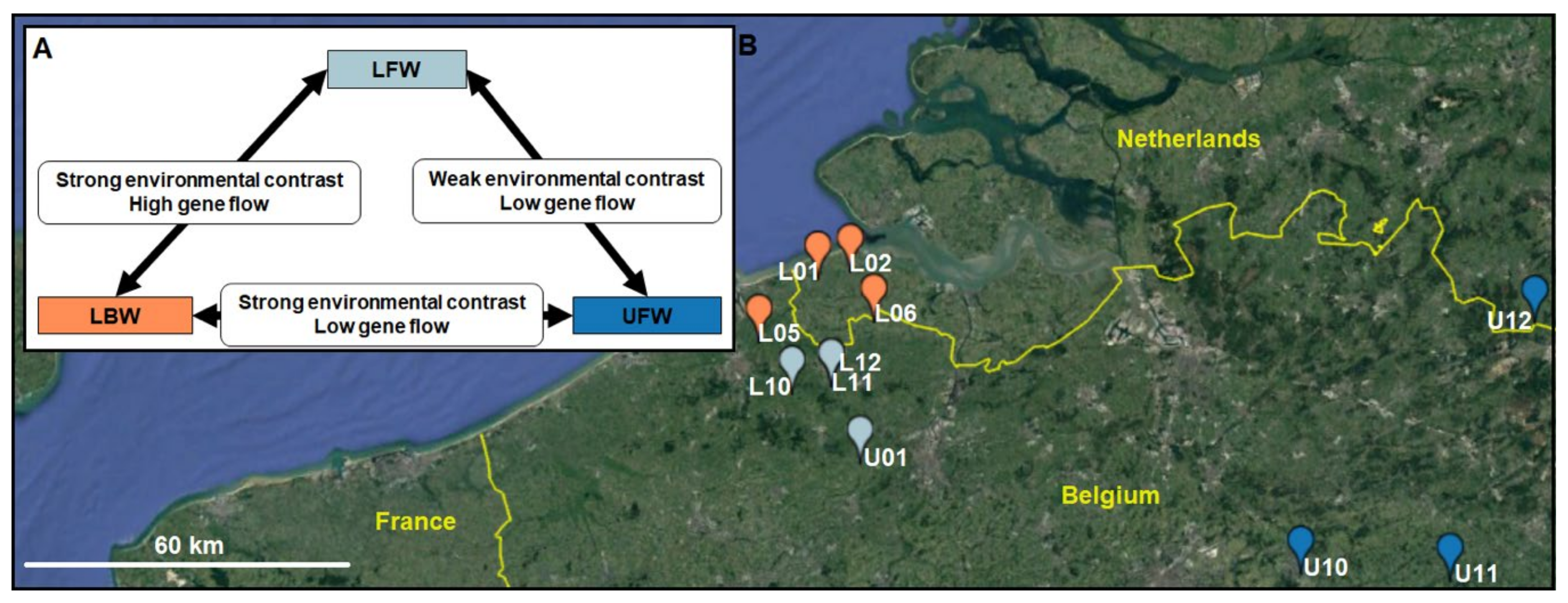 Genes 12 00435 g001 Genes 12 00435 g001