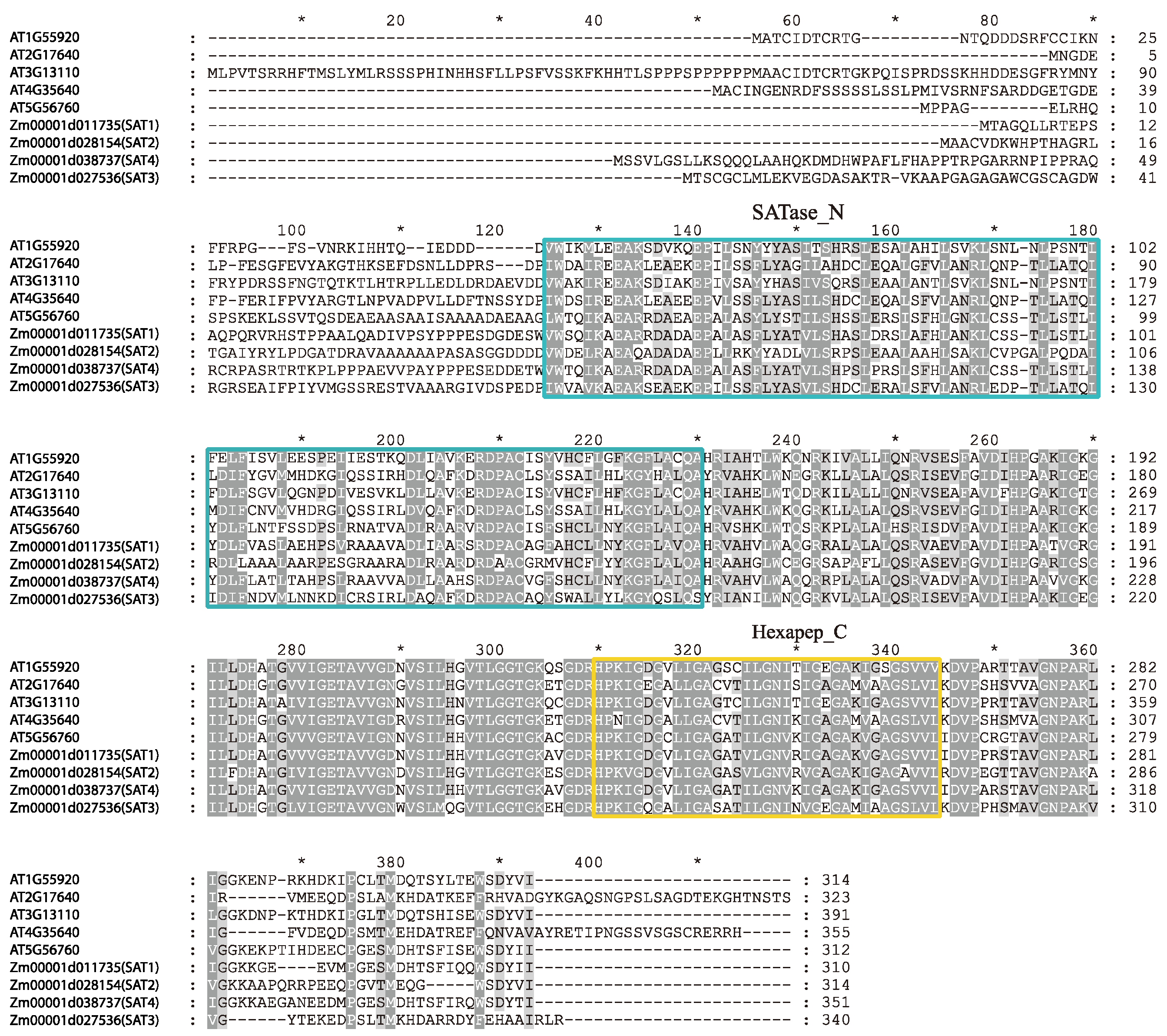 Genes 12 00437 g002 Genes 12 00437 g002