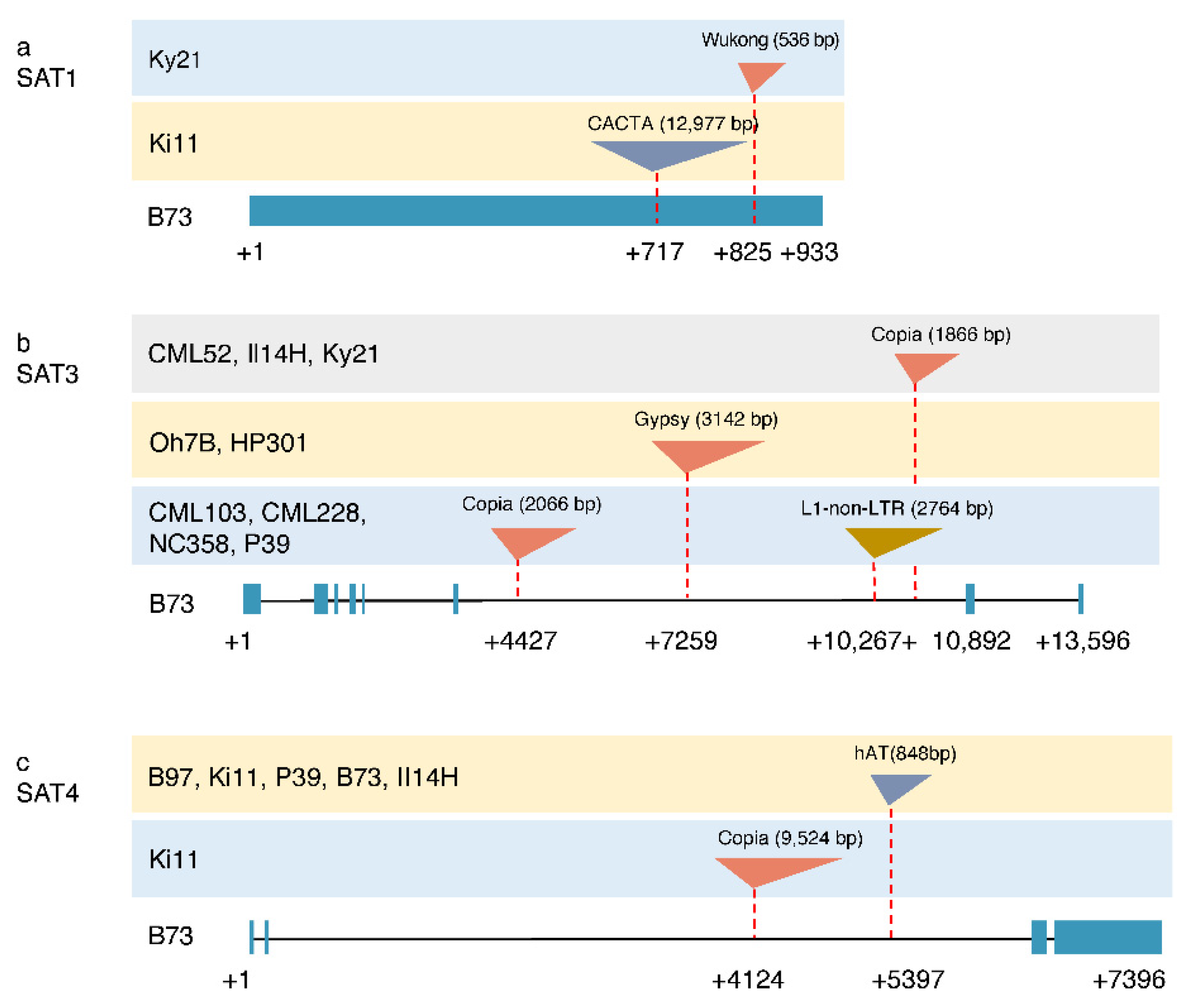 Genes 12 00437 g004 Genes 12 00437 g004