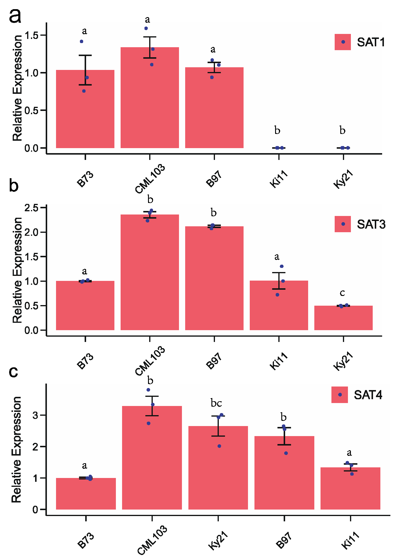 Genes 12 00437 g005 Genes 12 00437 g005