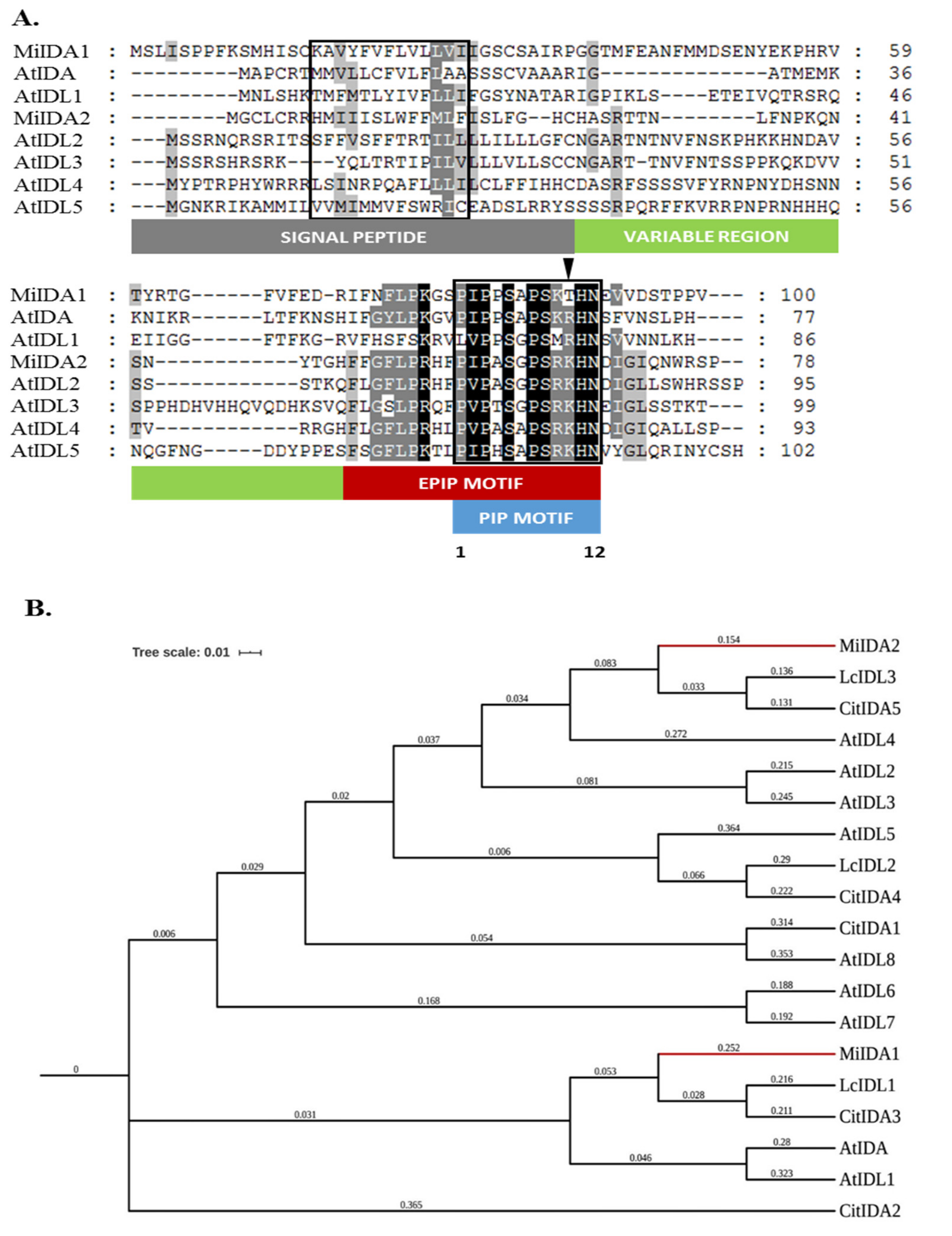 Genes 12 00439 g001