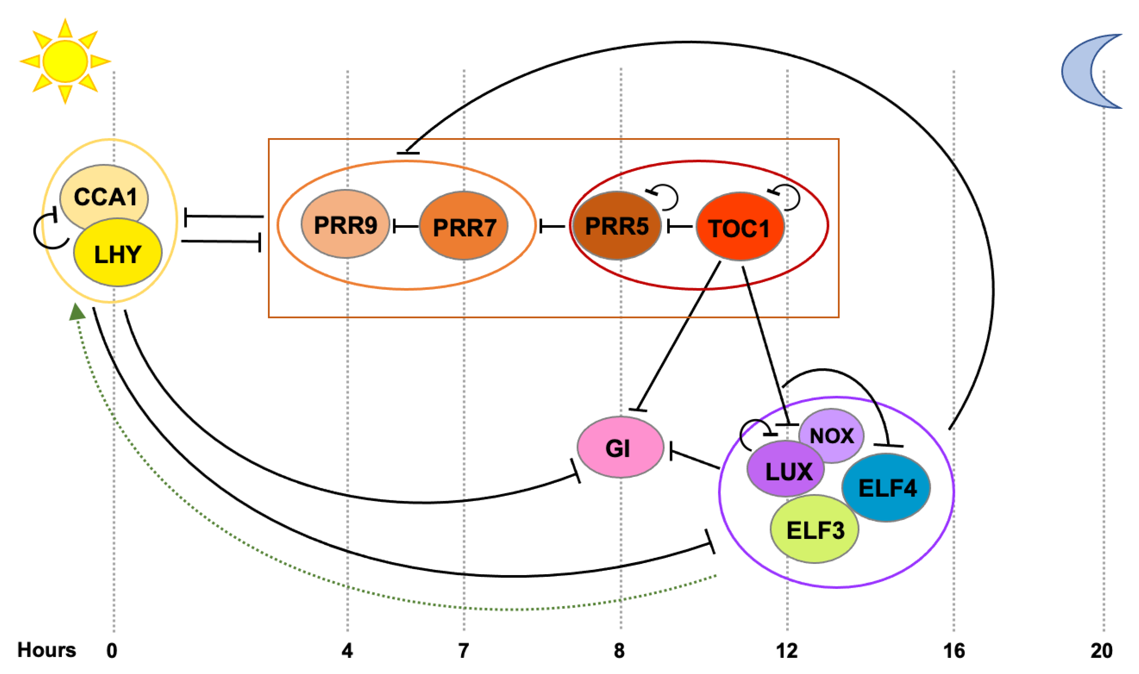 Genes 12 00442 g001 Genes 12 00442 g001