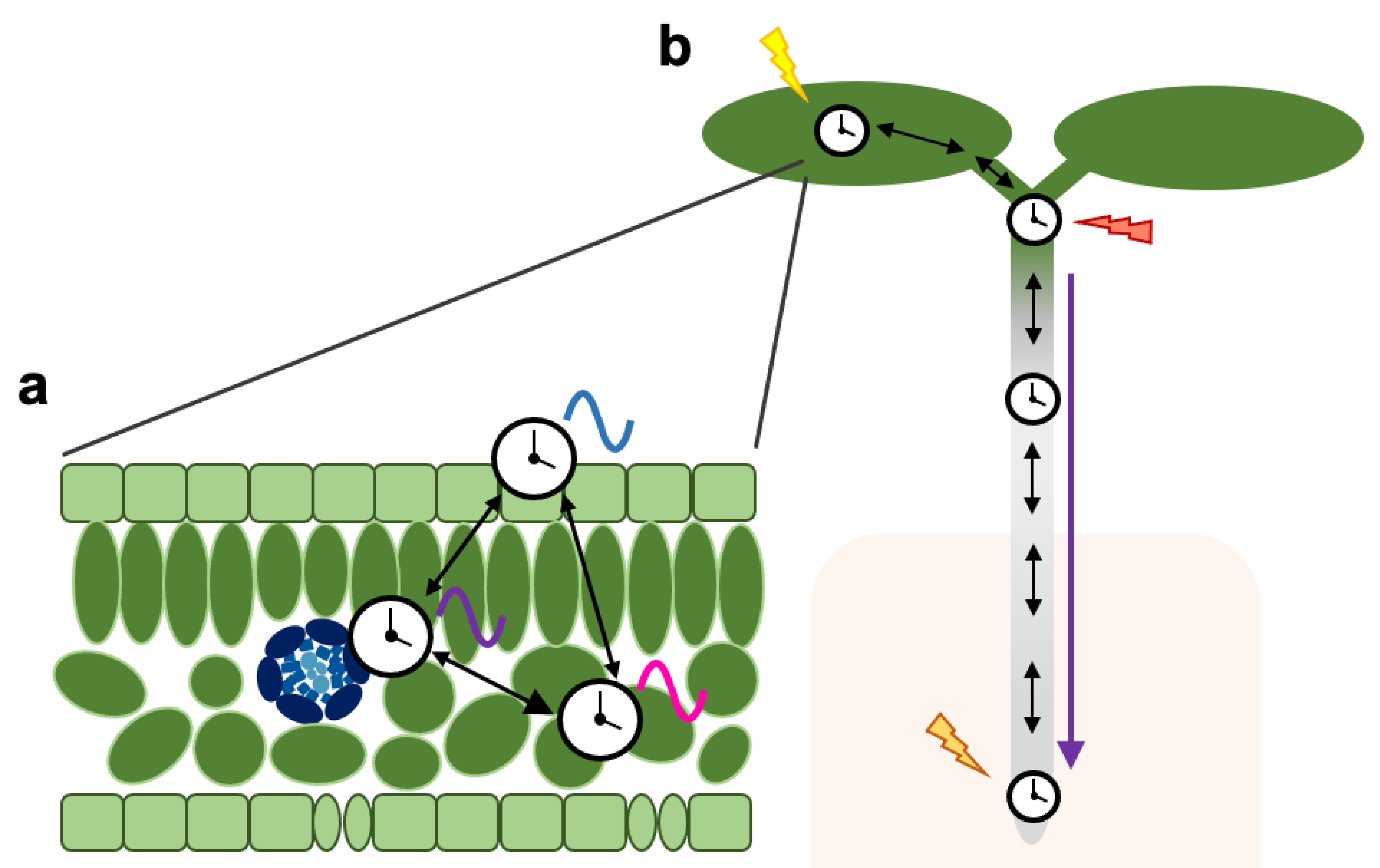 Genes 12 00442 g002 Genes 12 00442 g002