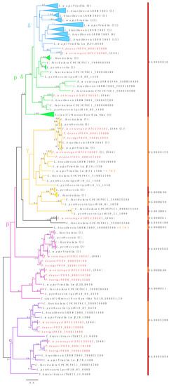 Genome Analysis of Endotrypanum and Porcisia spp., Closest Genome Analysis of Endotrypanum and Porcisia spp., Closest