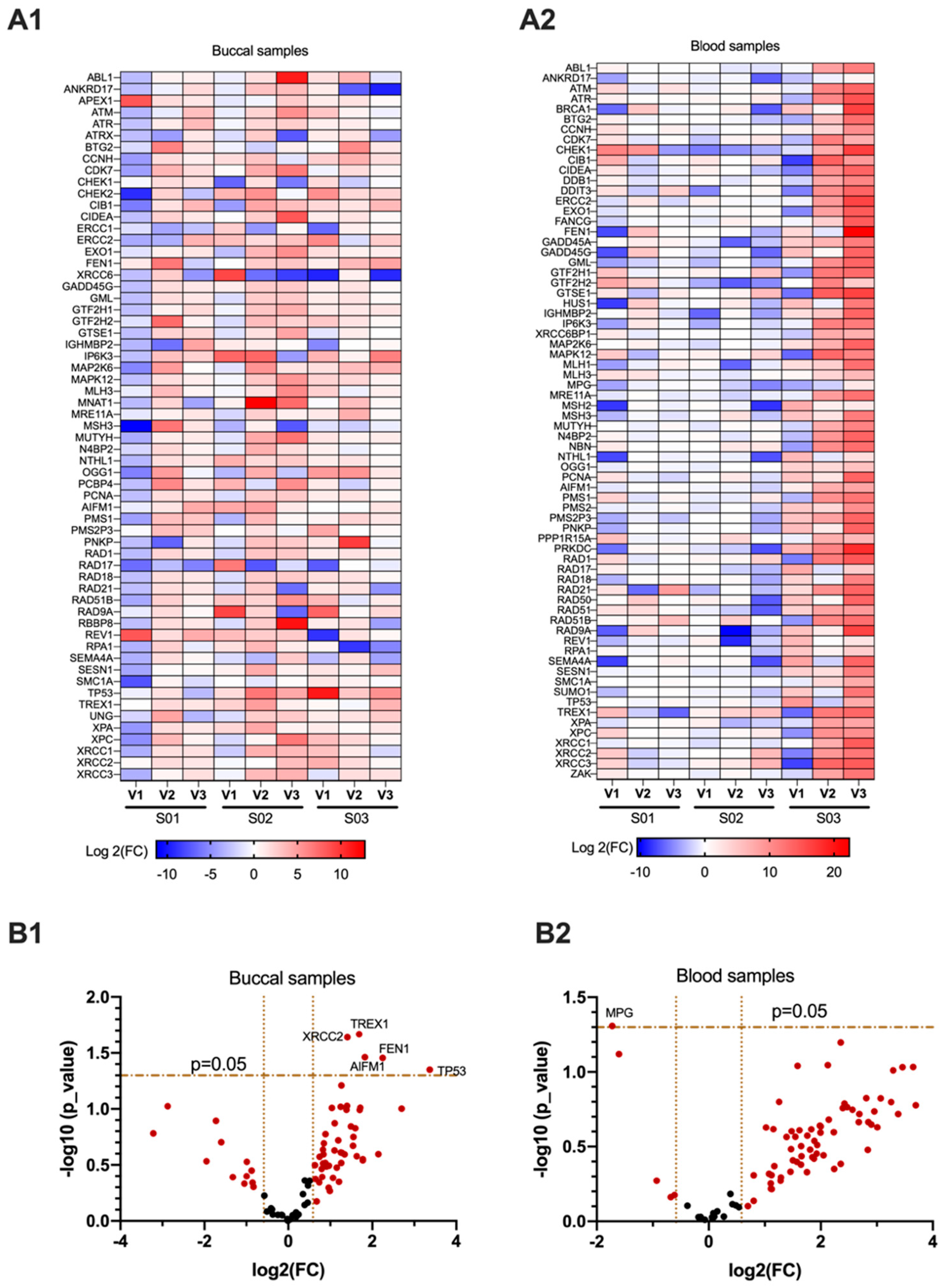 Genes 12 00448 g001 Genes 12 00448 g001